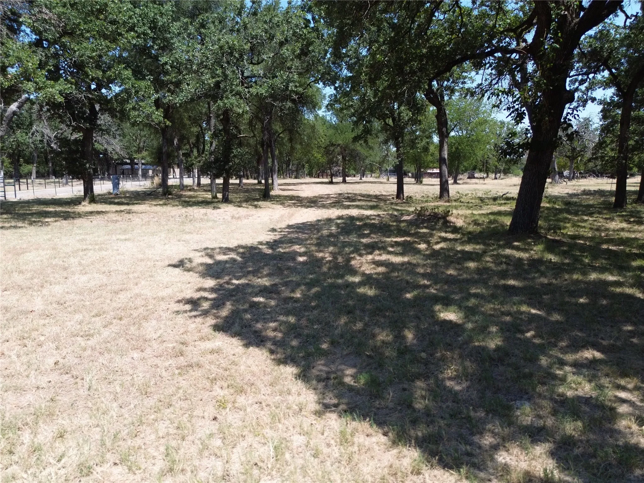 Expansive land offering a mix of mature trees and open grassy areas