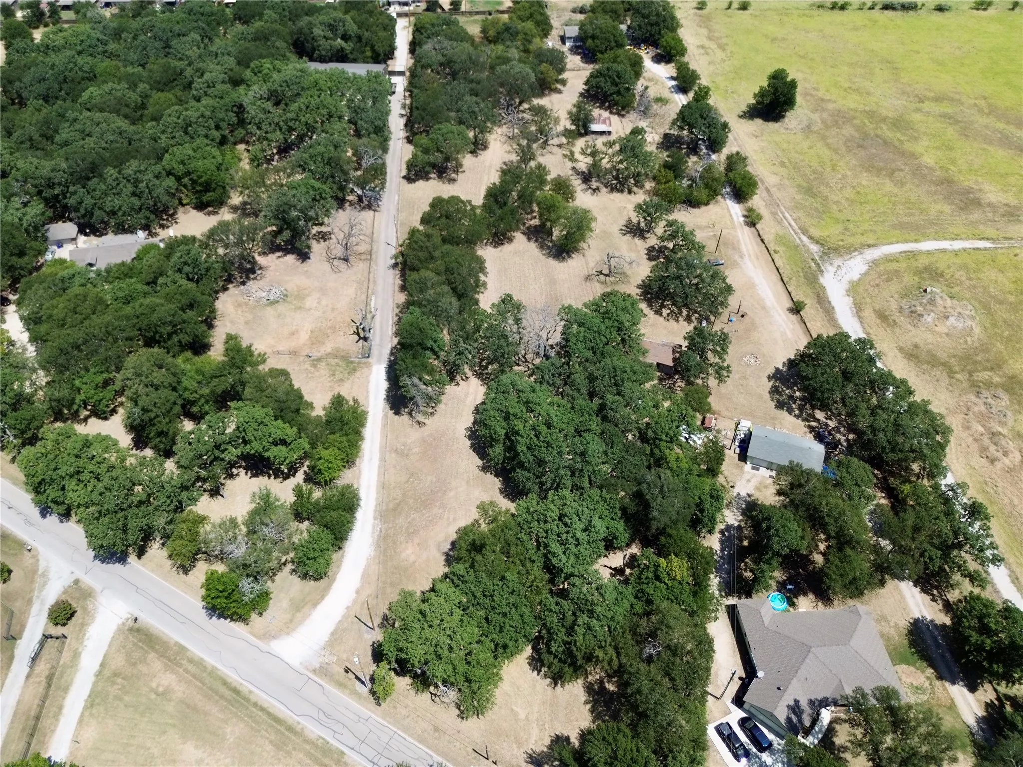 Expansive rural property featuring substantial tree coverage, multiple buildings, and direct road frontage