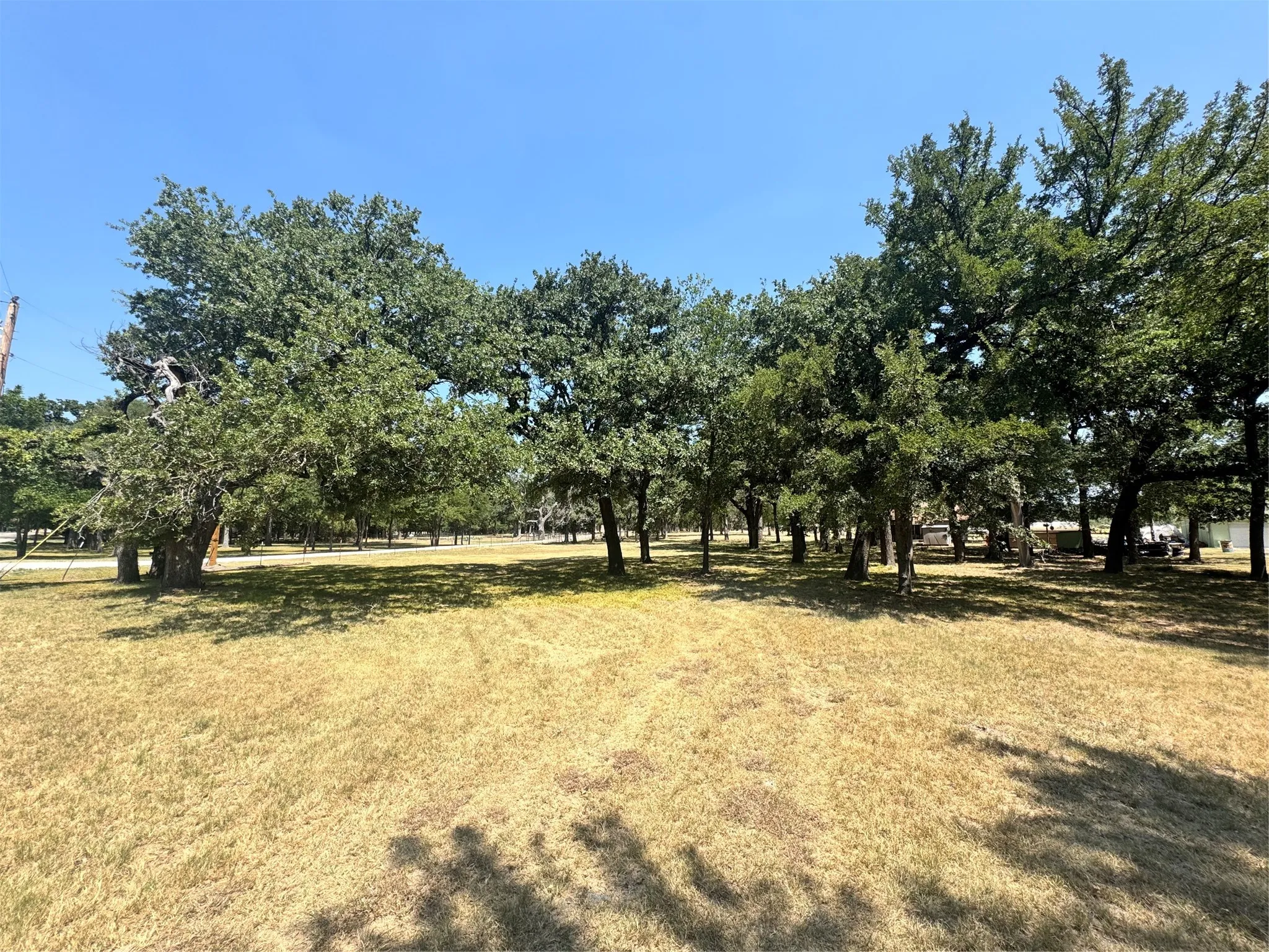 Expansive parcel featuring numerous mature trees and open grassy areas