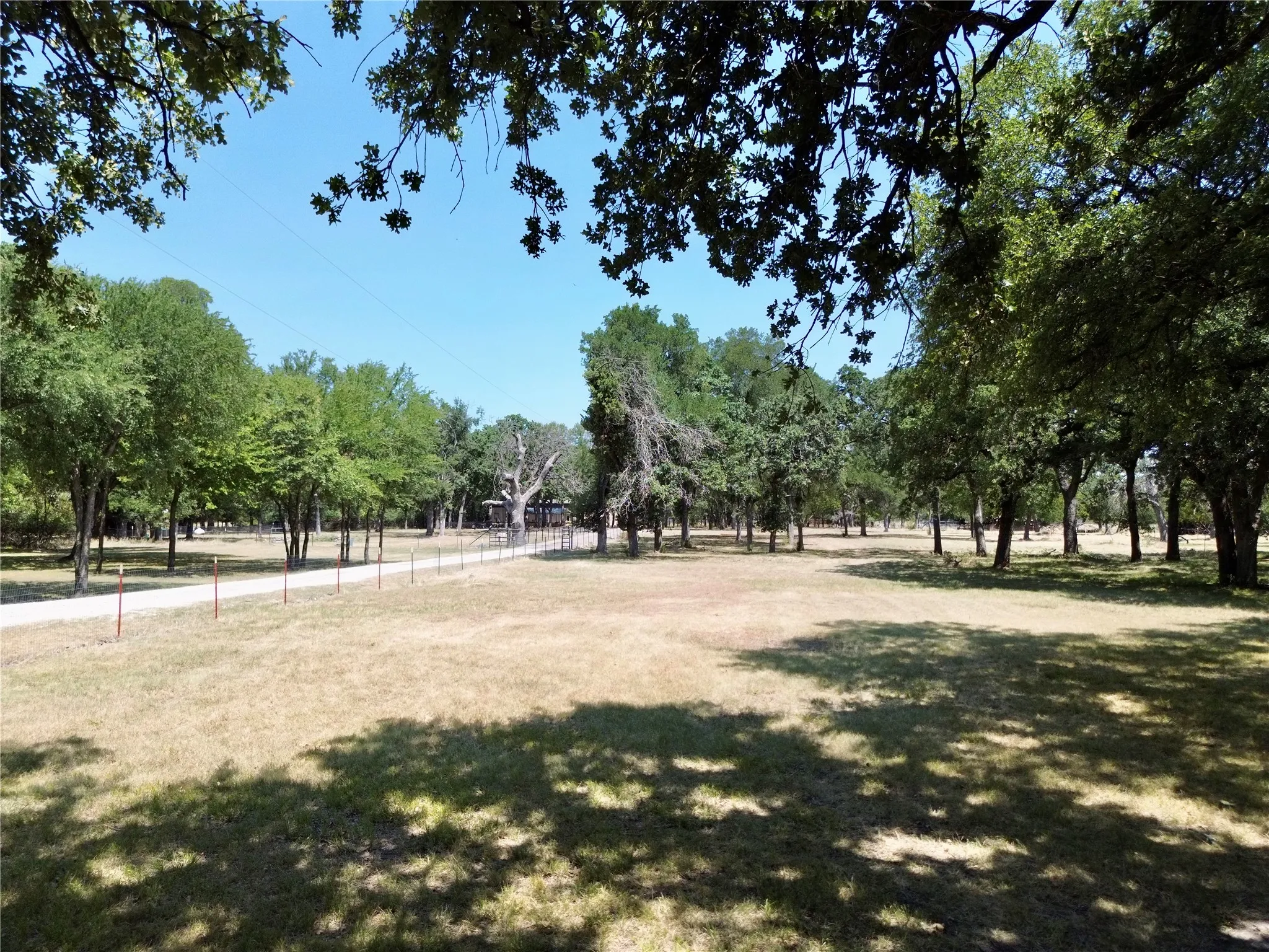 Expansive outdoor area featuring mature trees, a clear sky, and a defined pathway