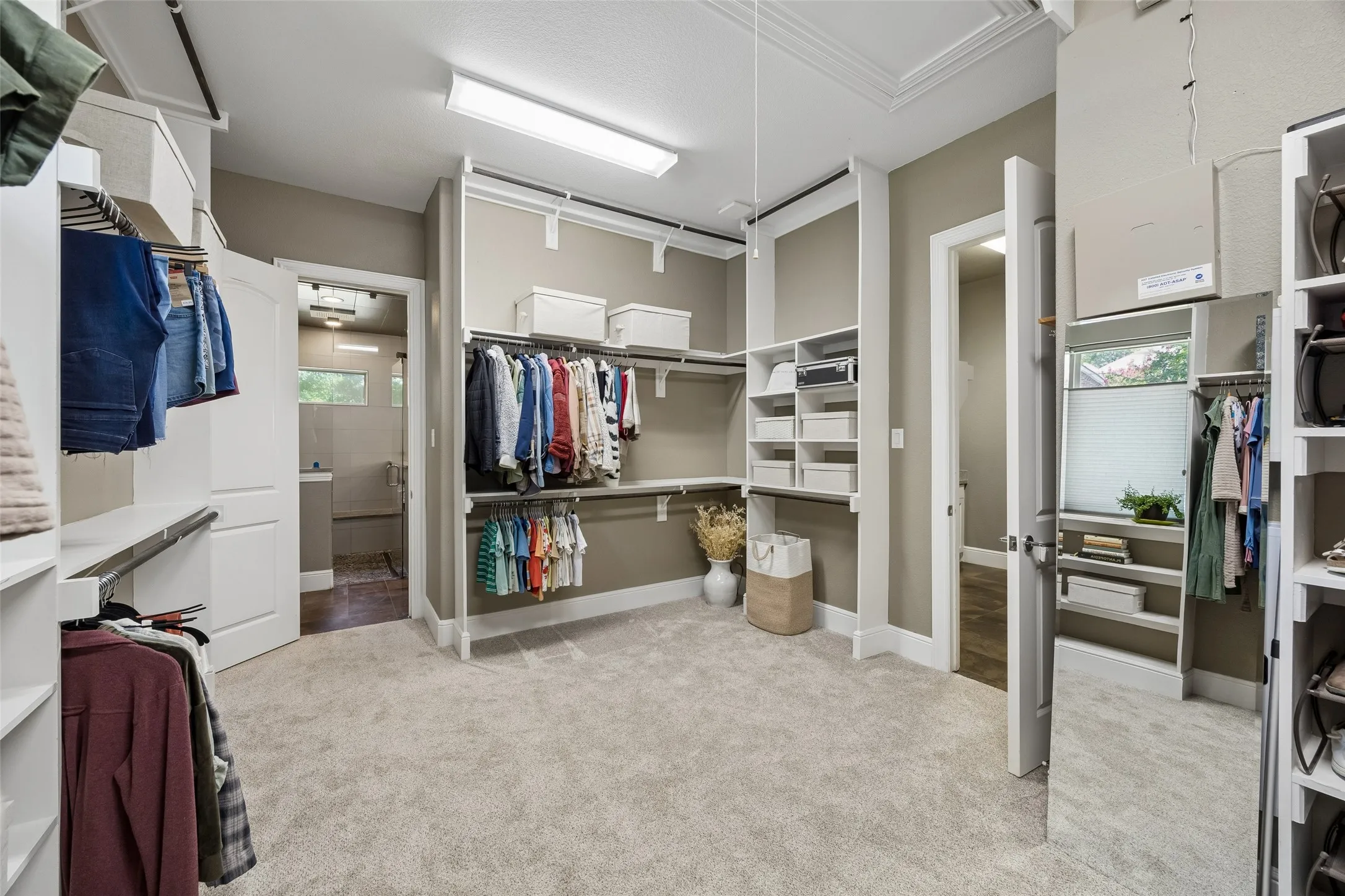 Expansive dressing room featuring soft gray carpet flooring, custom white built-in storage, extensive hanging rails, multiple shelving units, and integrated lighting