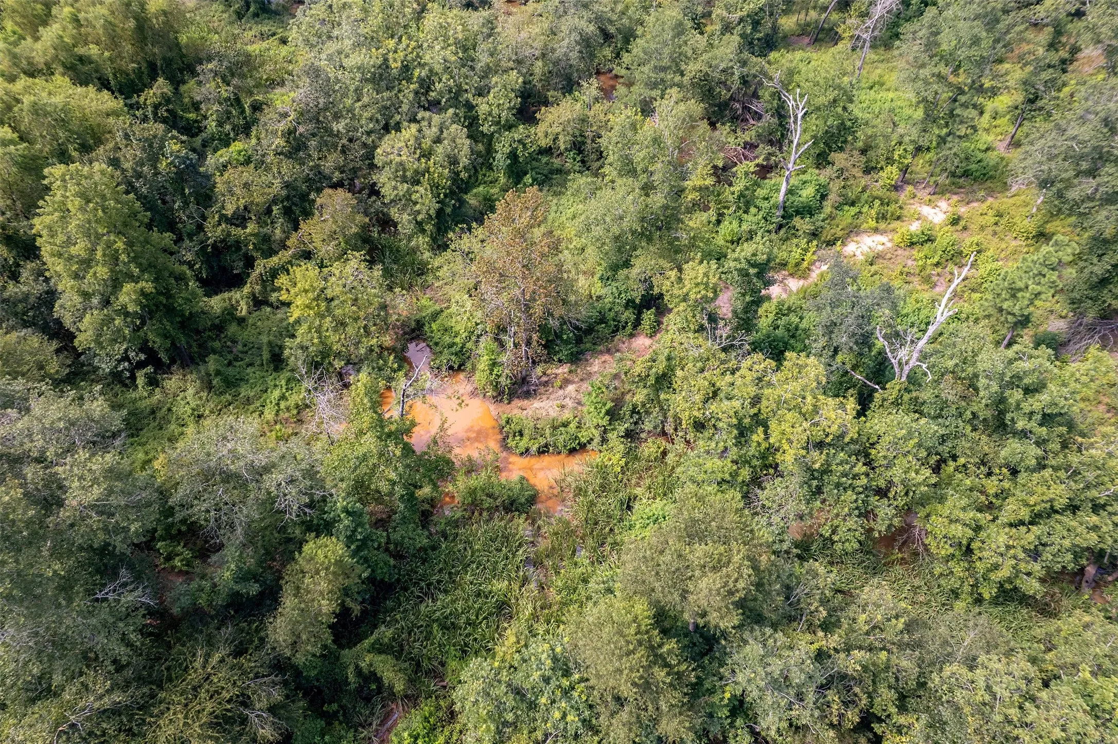Unimproved Land For Sale in Smith County , TBD County Road 2115, Troup, Texas 75789, 0, 0, Garage spaces, 0 Sqft, built in 0, Price $649,900, mls#21348630, Real Estate Agent in Troup, Homes For Sale in Smith county, Homes For Sale in Troup, Realtor in Troup Texas, Real Estate Brokerage Independent Realty Texas, Luminita Cordes Realtor