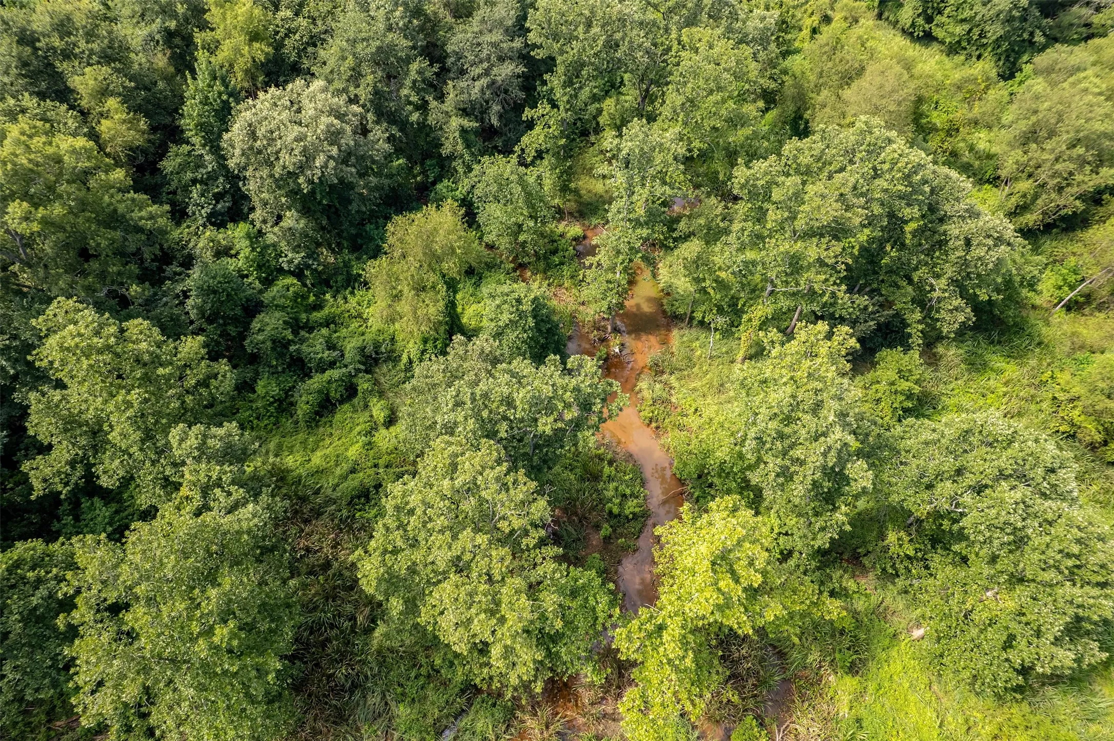 Unimproved Land For Sale in Smith County , TBD County Road 2115, Troup, Texas 75789, 0, 0, Garage spaces, 0 Sqft, built in 0, Price $649,900, mls#21348630, Real Estate Agent in Troup, Homes For Sale in Smith county, Homes For Sale in Troup, Realtor in Troup Texas, Real Estate Brokerage Independent Realty Texas, Luminita Cordes Realtor