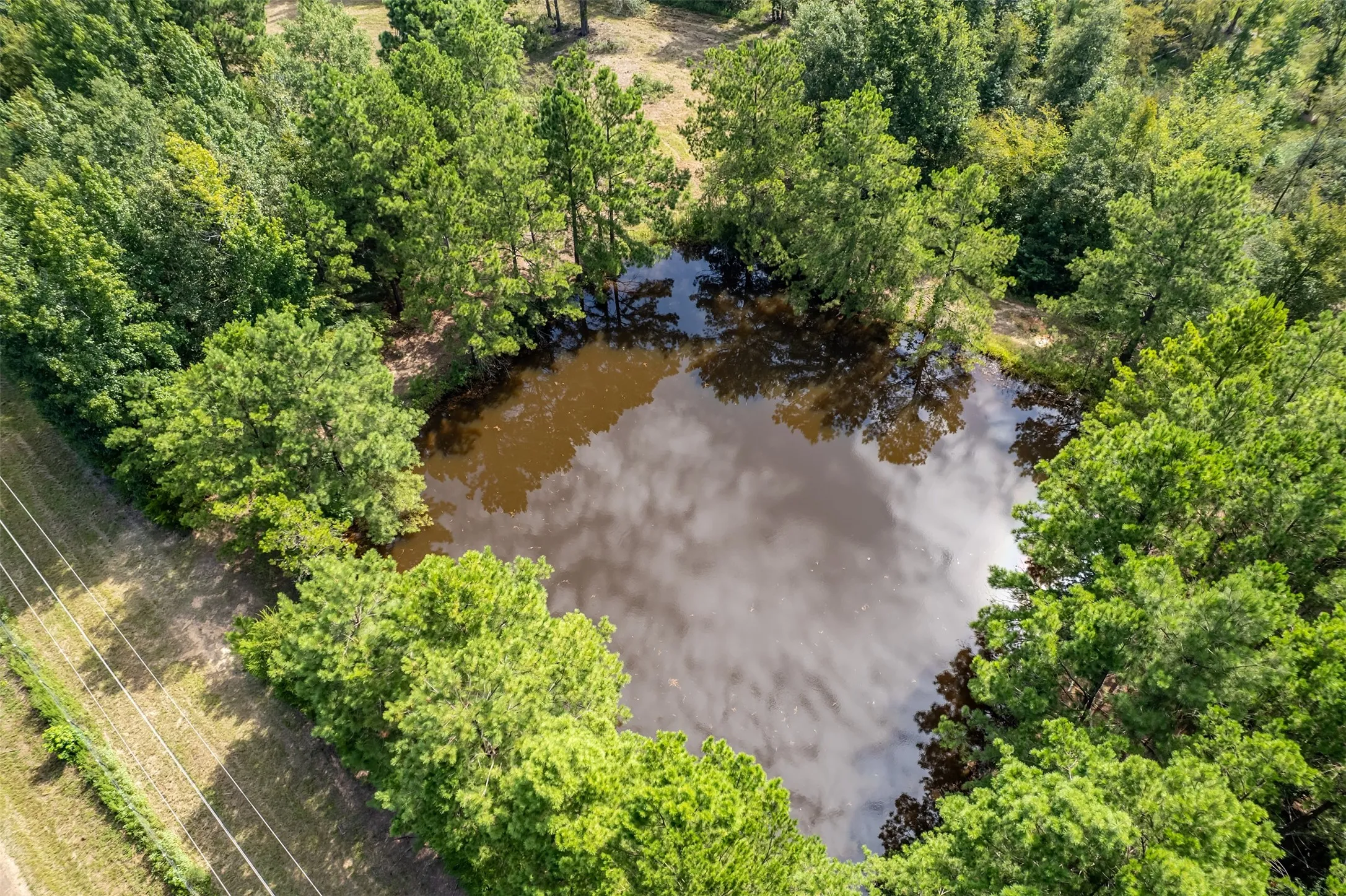 Unimproved Land For Sale in Smith County , TBD County Road 2115, Troup, Texas 75789, 0, 0, Garage spaces, 0 Sqft, built in 0, Price $649,900, mls#21348630, Real Estate Agent in Troup, Homes For Sale in Smith county, Homes For Sale in Troup, Realtor in Troup Texas, Real Estate Brokerage Independent Realty Texas, Luminita Cordes Realtor