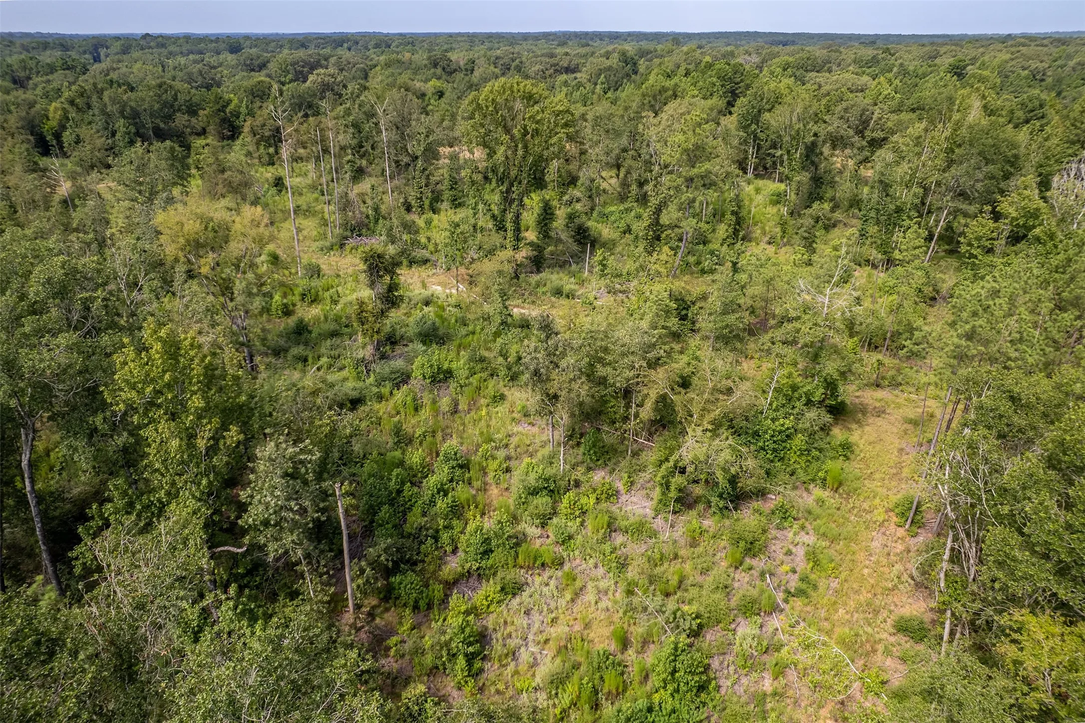 Unimproved Land For Sale in Smith County , TBD County Road 2115, Troup, Texas 75789, 0, 0, Garage spaces, 0 Sqft, built in 0, Price $649,900, mls#21348630, Real Estate Agent in Troup, Homes For Sale in Smith county, Homes For Sale in Troup, Realtor in Troup Texas, Real Estate Brokerage Independent Realty Texas, Luminita Cordes Realtor