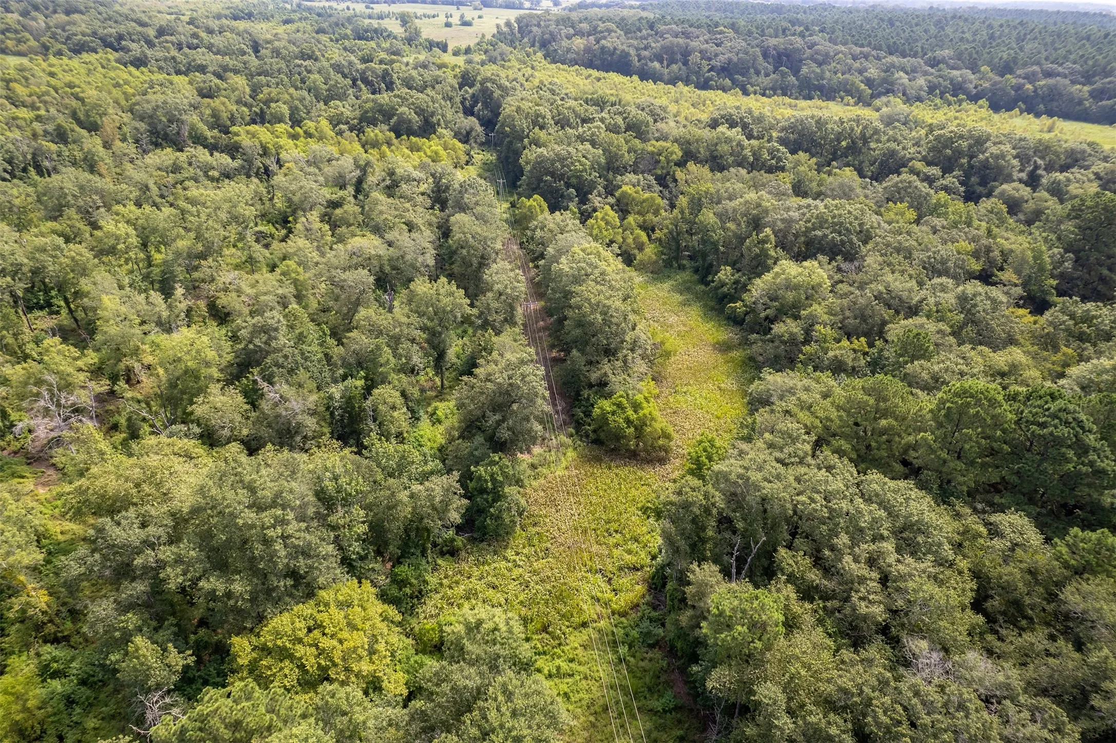 Unimproved Land For Sale in Smith County , TBD County Road 2115, Troup, Texas 75789, 0, 0, Garage spaces, 0 Sqft, built in 0, Price $649,900, mls#21348630, Real Estate Agent in Troup, Homes For Sale in Smith county, Homes For Sale in Troup, Realtor in Troup Texas, Real Estate Brokerage Independent Realty Texas, Luminita Cordes Realtor