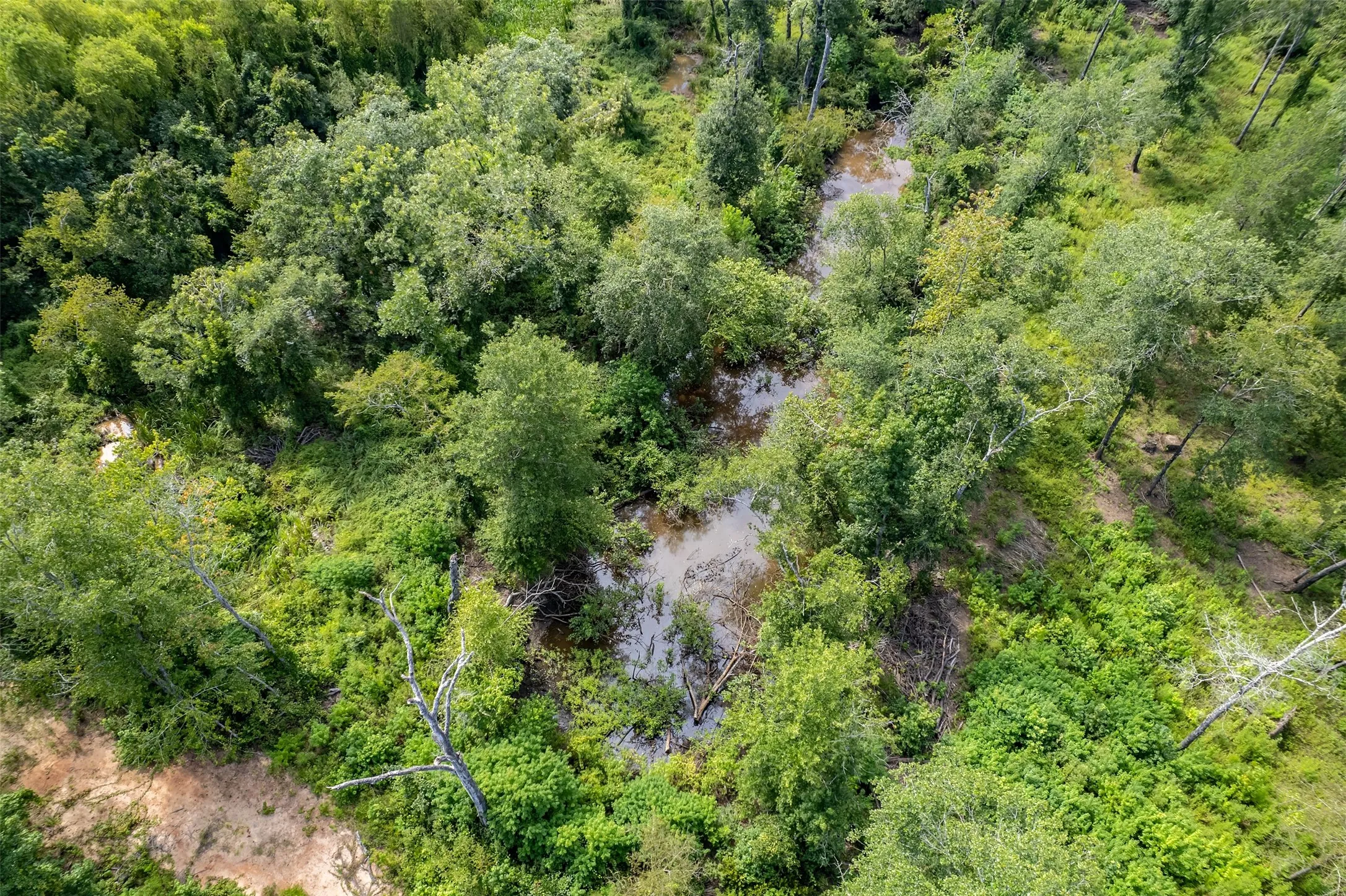 Unimproved Land For Sale in Smith County , TBD County Road 2115, Troup, Texas 75789, 0, 0, Garage spaces, 0 Sqft, built in 0, Price $649,900, mls#21348630, Real Estate Agent in Troup, Homes For Sale in Smith county, Homes For Sale in Troup, Realtor in Troup Texas, Real Estate Brokerage Independent Realty Texas, Luminita Cordes Realtor