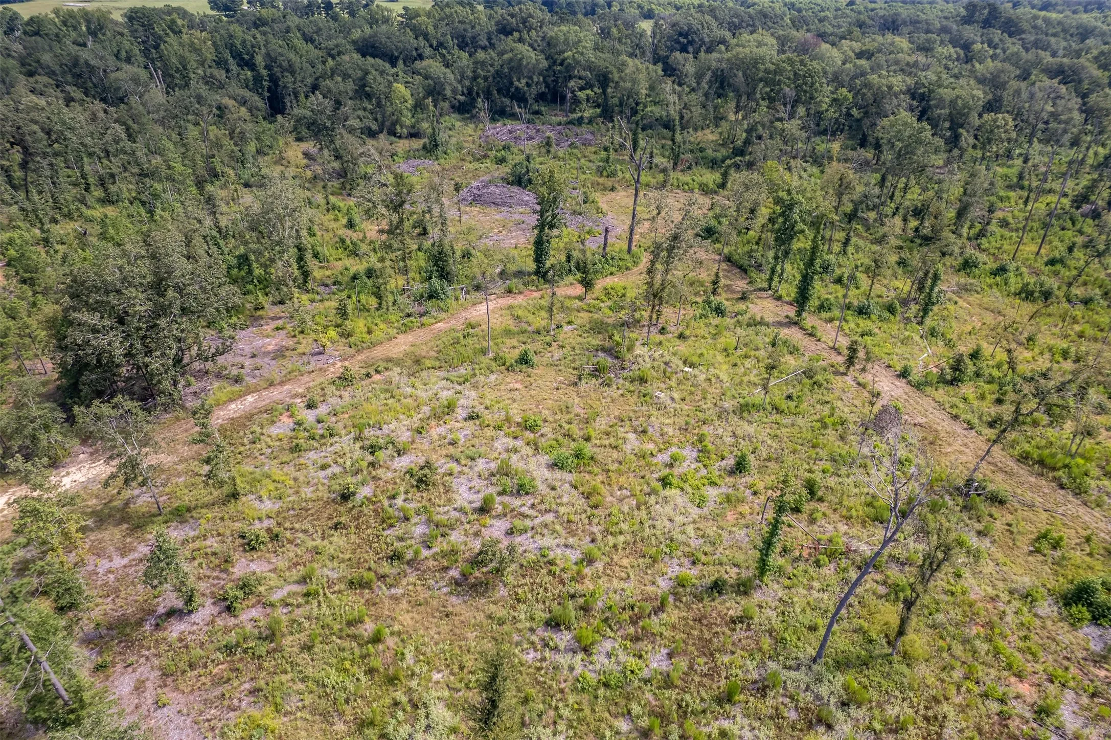 Unimproved Land For Sale in Smith County , TBD County Road 2115, Troup, Texas 75789, 0, 0, Garage spaces, 0 Sqft, built in 0, Price $649,900, mls#21348630, Real Estate Agent in Troup, Homes For Sale in Smith county, Homes For Sale in Troup, Realtor in Troup Texas, Real Estate Brokerage Independent Realty Texas, Luminita Cordes Realtor