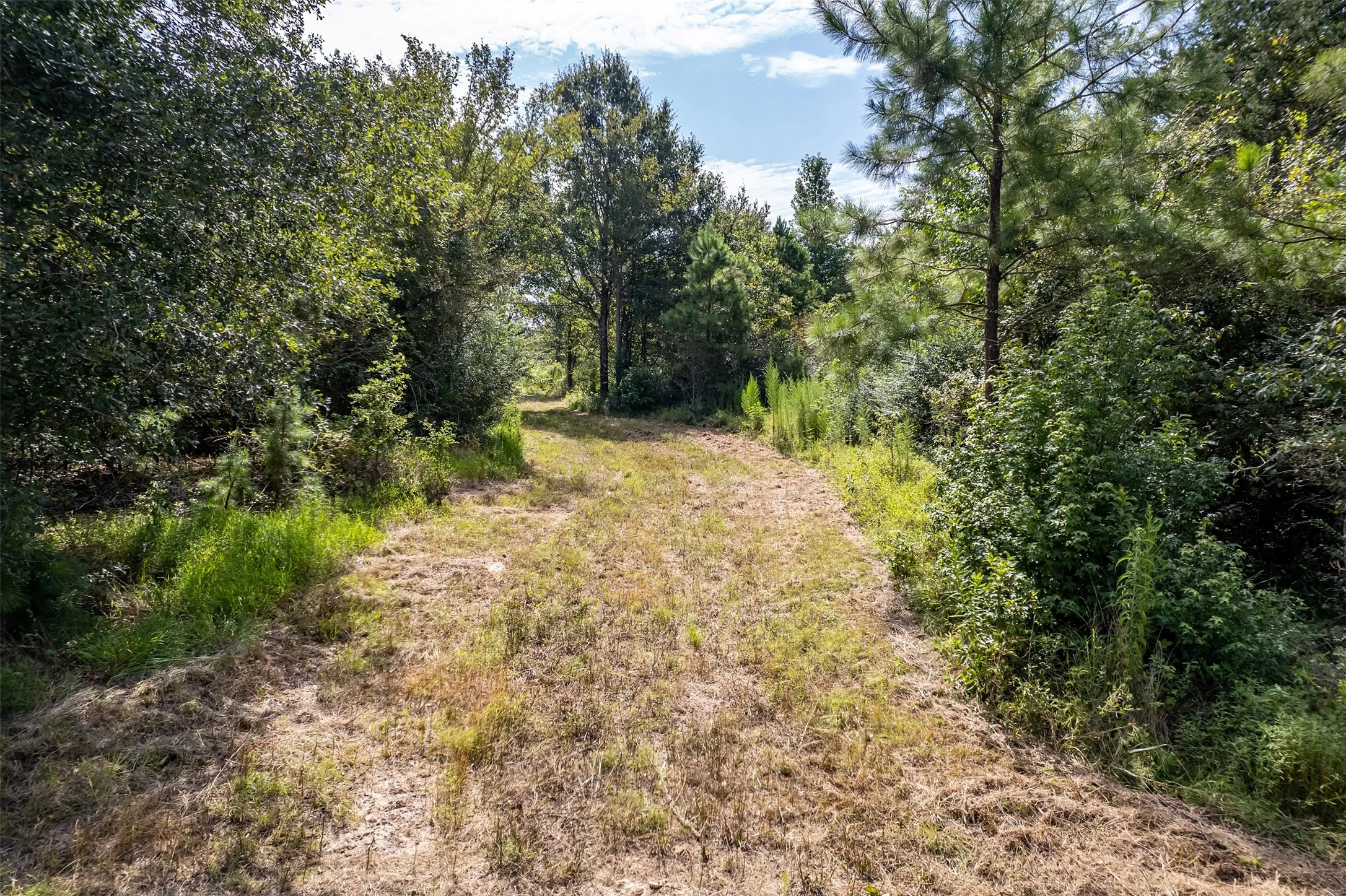 Unimproved Land For Sale in Smith County , TBD County Road 2115, Troup, Texas 75789, 0, 0, Garage spaces, 0 Sqft, built in 0, Price $649,900, mls#21348630, Real Estate Agent in Troup, Homes For Sale in Smith county, Homes For Sale in Troup, Realtor in Troup Texas, Real Estate Brokerage Independent Realty Texas, Luminita Cordes Realtor