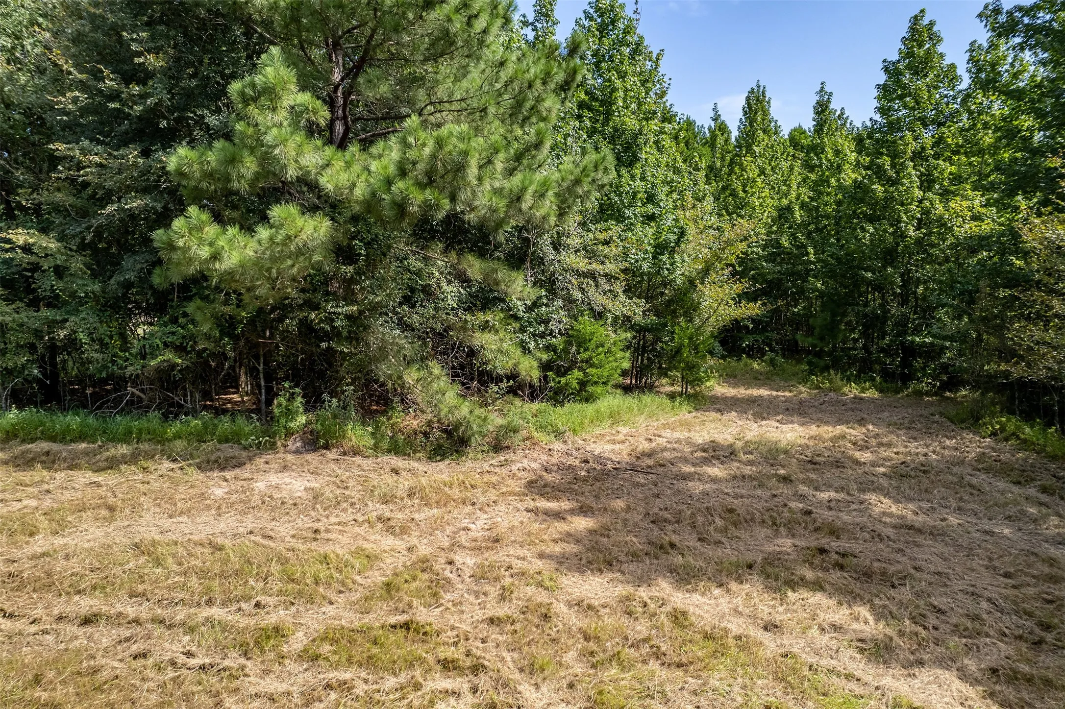 Unimproved Land For Sale in Smith County , TBD County Road 2115, Troup, Texas 75789, 0, 0, Garage spaces, 0 Sqft, built in 0, Price $649,900, mls#21348630, Real Estate Agent in Troup, Homes For Sale in Smith county, Homes For Sale in Troup, Realtor in Troup Texas, Real Estate Brokerage Independent Realty Texas, Luminita Cordes Realtor