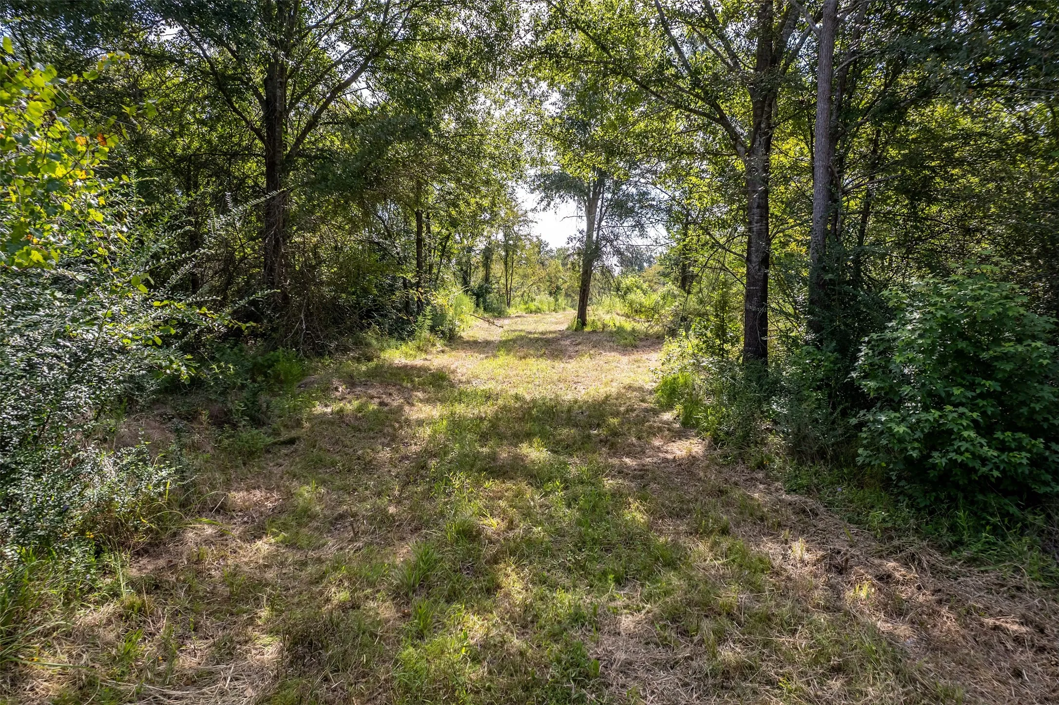 Unimproved Land For Sale in Smith County , TBD County Road 2115, Troup, Texas 75789, 0, 0, Garage spaces, 0 Sqft, built in 0, Price $649,900, mls#21348630, Real Estate Agent in Troup, Homes For Sale in Smith county, Homes For Sale in Troup, Realtor in Troup Texas, Real Estate Brokerage Independent Realty Texas, Luminita Cordes Realtor