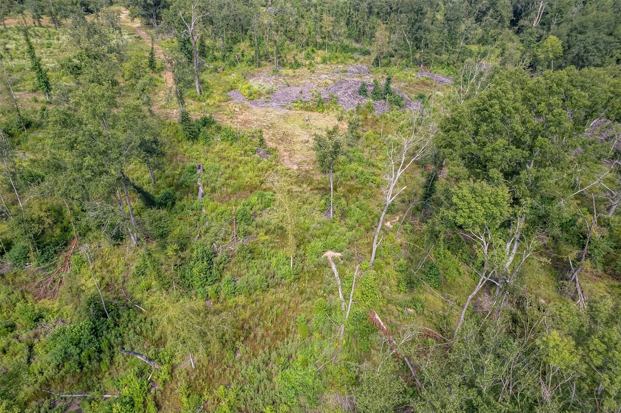 Unimproved Land For Sale in Smith County , TBD County Road 2115, Troup, Texas 75789, 0, 0, Garage spaces, 0 Sqft, built in 0, Price $649,900, mls#21348630, Real Estate Agent in Troup, Homes For Sale in Smith county, Homes For Sale in Troup, Realtor in Troup Texas, Real Estate Brokerage Independent Realty Texas, Luminita Cordes Realtor