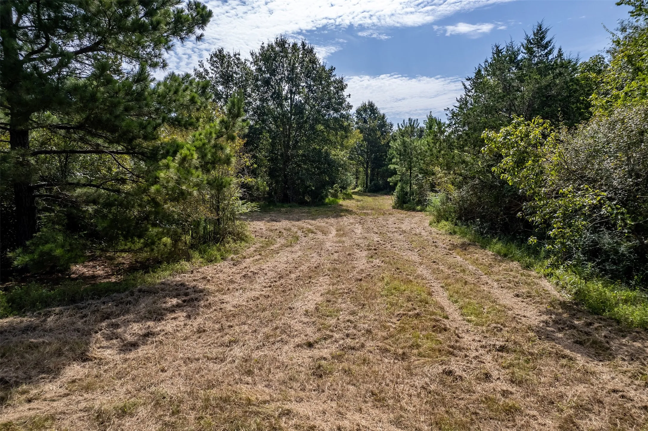 Unimproved Land For Sale in Smith County , TBD County Road 2115, Troup, Texas 75789, 0, 0, Garage spaces, 0 Sqft, built in 0, Price $649,900, mls#21348630, Real Estate Agent in Troup, Homes For Sale in Smith county, Homes For Sale in Troup, Realtor in Troup Texas, Real Estate Brokerage Independent Realty Texas, Luminita Cordes Realtor