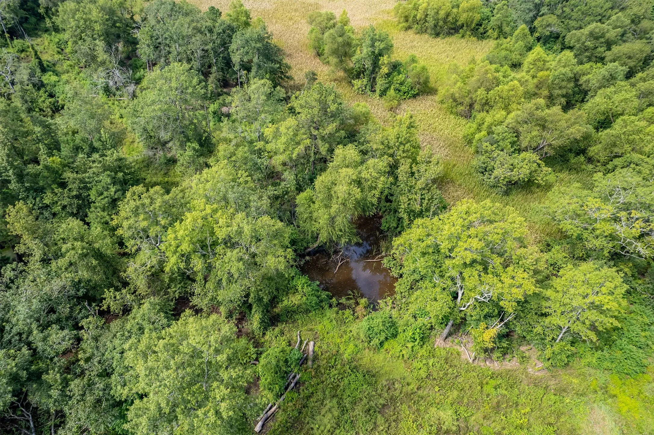Unimproved Land For Sale in Smith County , TBD County Road 2115, Troup, Texas 75789, 0, 0, Garage spaces, 0 Sqft, built in 0, Price $649,900, mls#21348630, Real Estate Agent in Troup, Homes For Sale in Smith county, Homes For Sale in Troup, Realtor in Troup Texas, Real Estate Brokerage Independent Realty Texas, Luminita Cordes Realtor