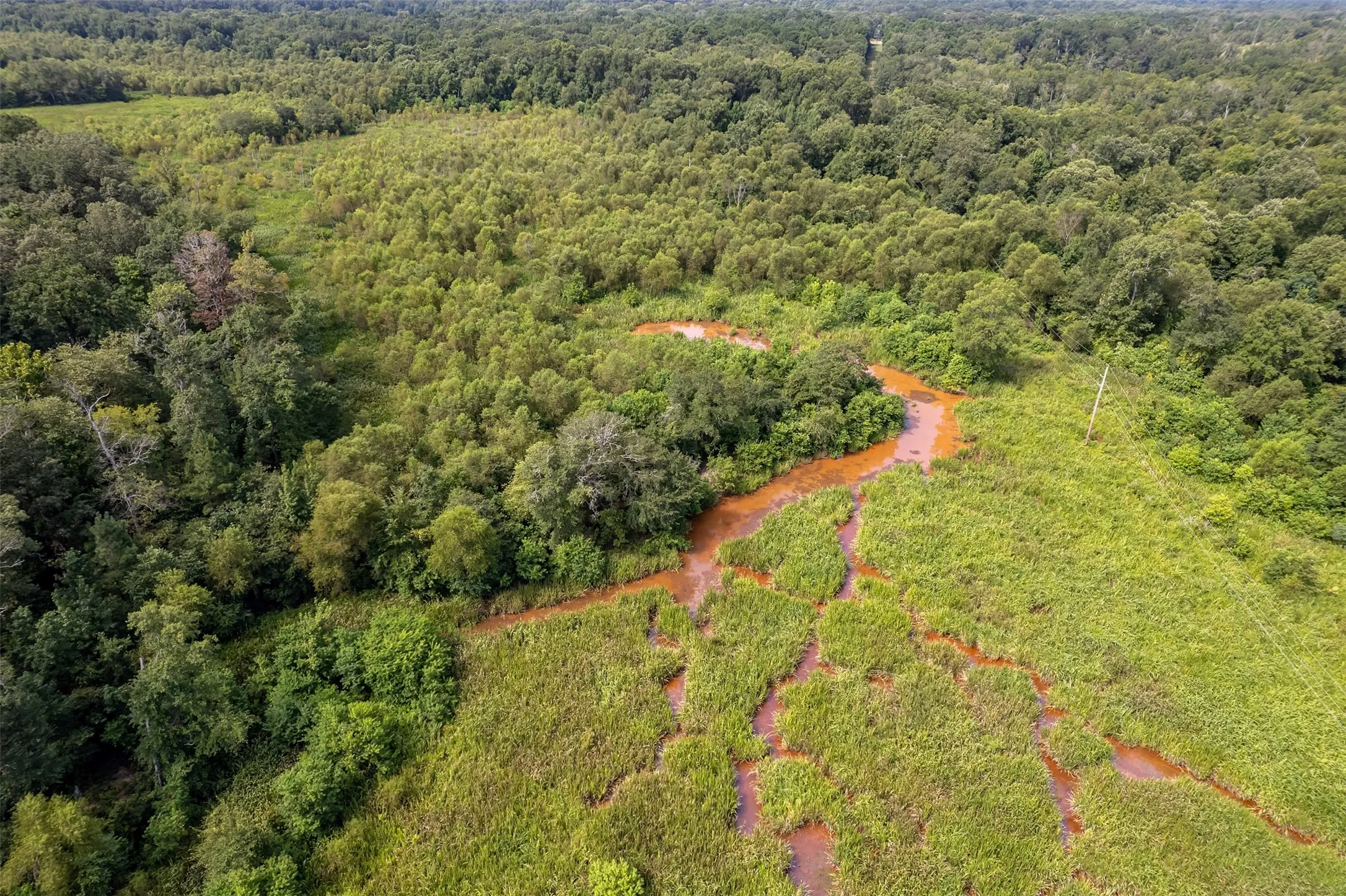 Unimproved Land For Sale in Smith County , TBD County Road 2115, Troup, Texas 75789, 0, 0, Garage spaces, 0 Sqft, built in 0, Price $649,900, mls#21348630, Real Estate Agent in Troup, Homes For Sale in Smith county, Homes For Sale in Troup, Realtor in Troup Texas, Real Estate Brokerage Independent Realty Texas, Luminita Cordes Realtor