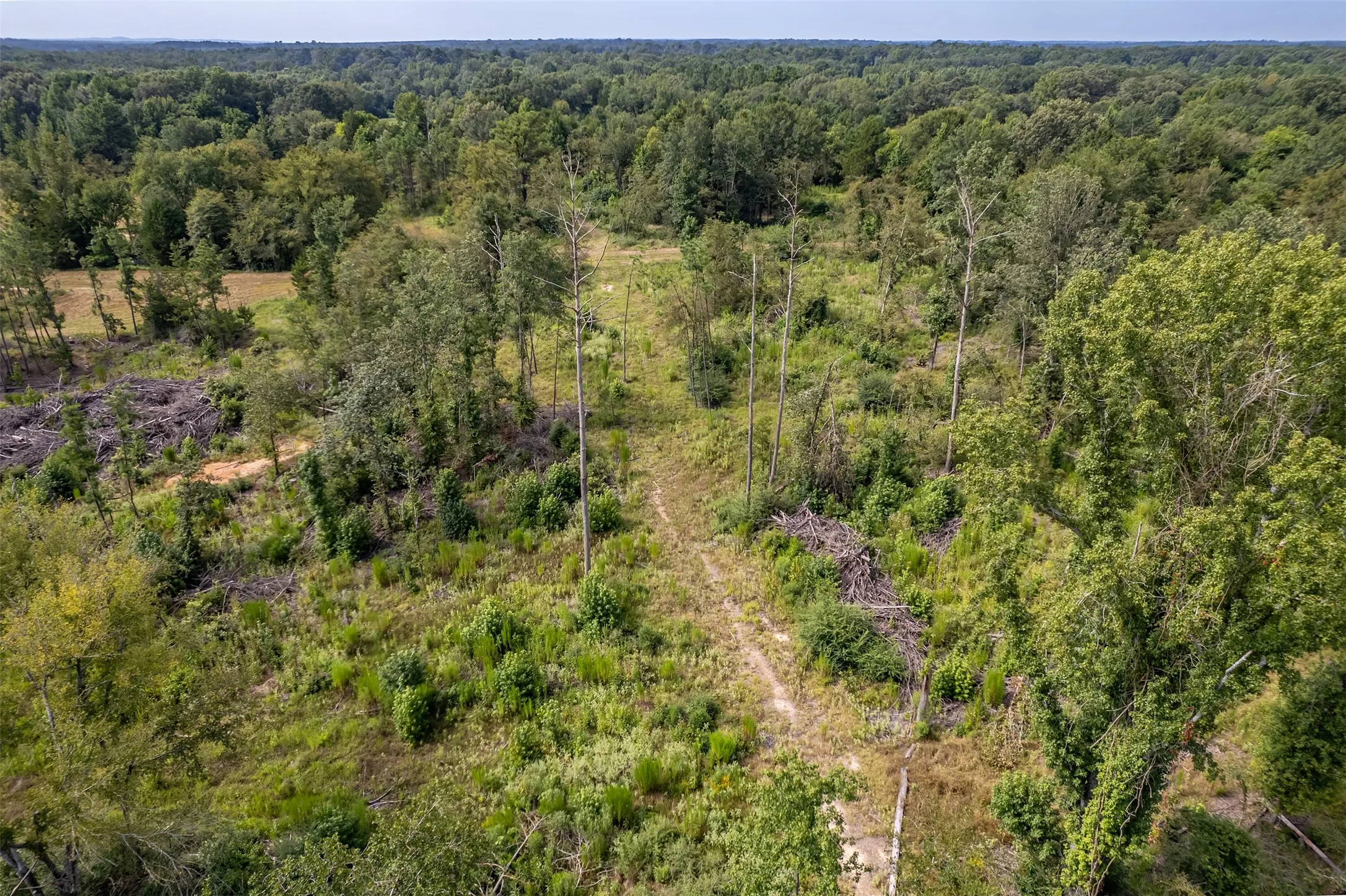 Unimproved Land For Sale in Smith County , TBD County Road 2115, Troup, Texas 75789, 0, 0, Garage spaces, 0 Sqft, built in 0, Price $649,900, mls#21348630, Real Estate Agent in Troup, Homes For Sale in Smith county, Homes For Sale in Troup, Realtor in Troup Texas, Real Estate Brokerage Independent Realty Texas, Luminita Cordes Realtor
