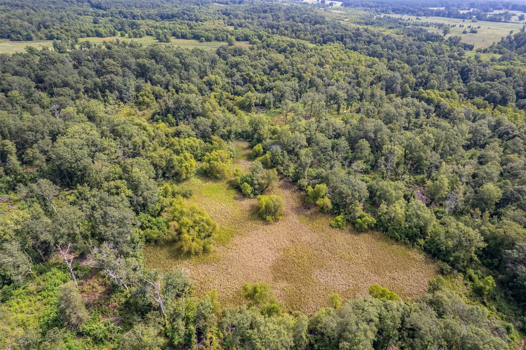 Unimproved Land For Sale in Smith County , TBD County Road 2115, Troup, Texas 75789, 0, 0, Garage spaces, 0 Sqft, built in 0, Price $649,900, mls#21348630, Real Estate Agent in Troup, Homes For Sale in Smith county, Homes For Sale in Troup, Realtor in Troup Texas, Real Estate Brokerage Independent Realty Texas, Luminita Cordes Realtor