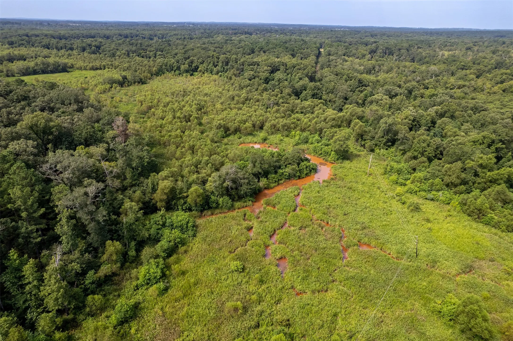 Unimproved Land For Sale in Smith County , TBD County Road 2115, Troup, Texas 75789, 0, 0, Garage spaces, 0 Sqft, built in 0, Price $649,900, mls#21348630, Real Estate Agent in Troup, Homes For Sale in Smith county, Homes For Sale in Troup, Realtor in Troup Texas, Real Estate Brokerage Independent Realty Texas, Luminita Cordes Realtor