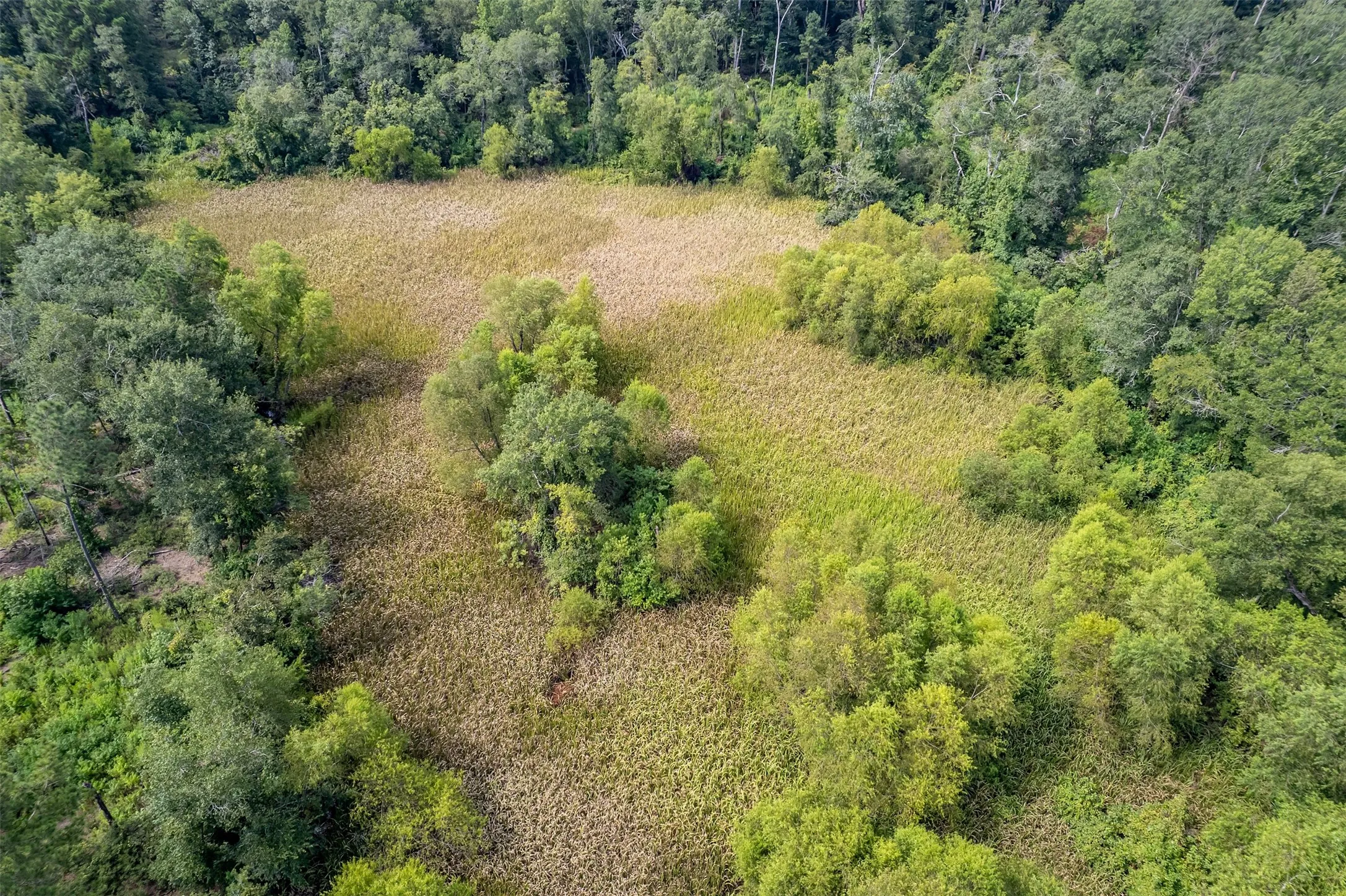Unimproved Land For Sale in Smith County , TBD County Road 2115, Troup, Texas 75789, 0, 0, Garage spaces, 0 Sqft, built in 0, Price $649,900, mls#21348630, Real Estate Agent in Troup, Homes For Sale in Smith county, Homes For Sale in Troup, Realtor in Troup Texas, Real Estate Brokerage Independent Realty Texas, Luminita Cordes Realtor