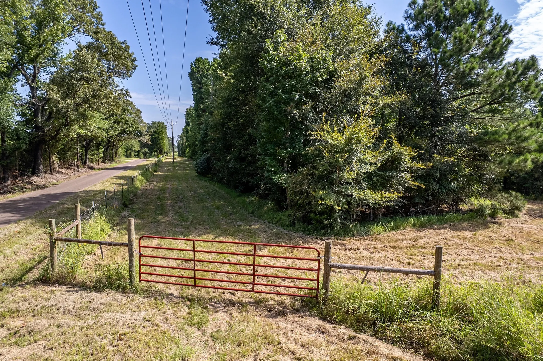 Unimproved Land For Sale in Smith County , TBD County Road 2115, Troup, Texas 75789, 0, 0, Garage spaces, 0 Sqft, built in 0, Price $649,900, mls#21348630, Real Estate Agent in Troup, Homes For Sale in Smith county, Homes For Sale in Troup, Realtor in Troup Texas, Real Estate Brokerage Independent Realty Texas, Luminita Cordes Realtor