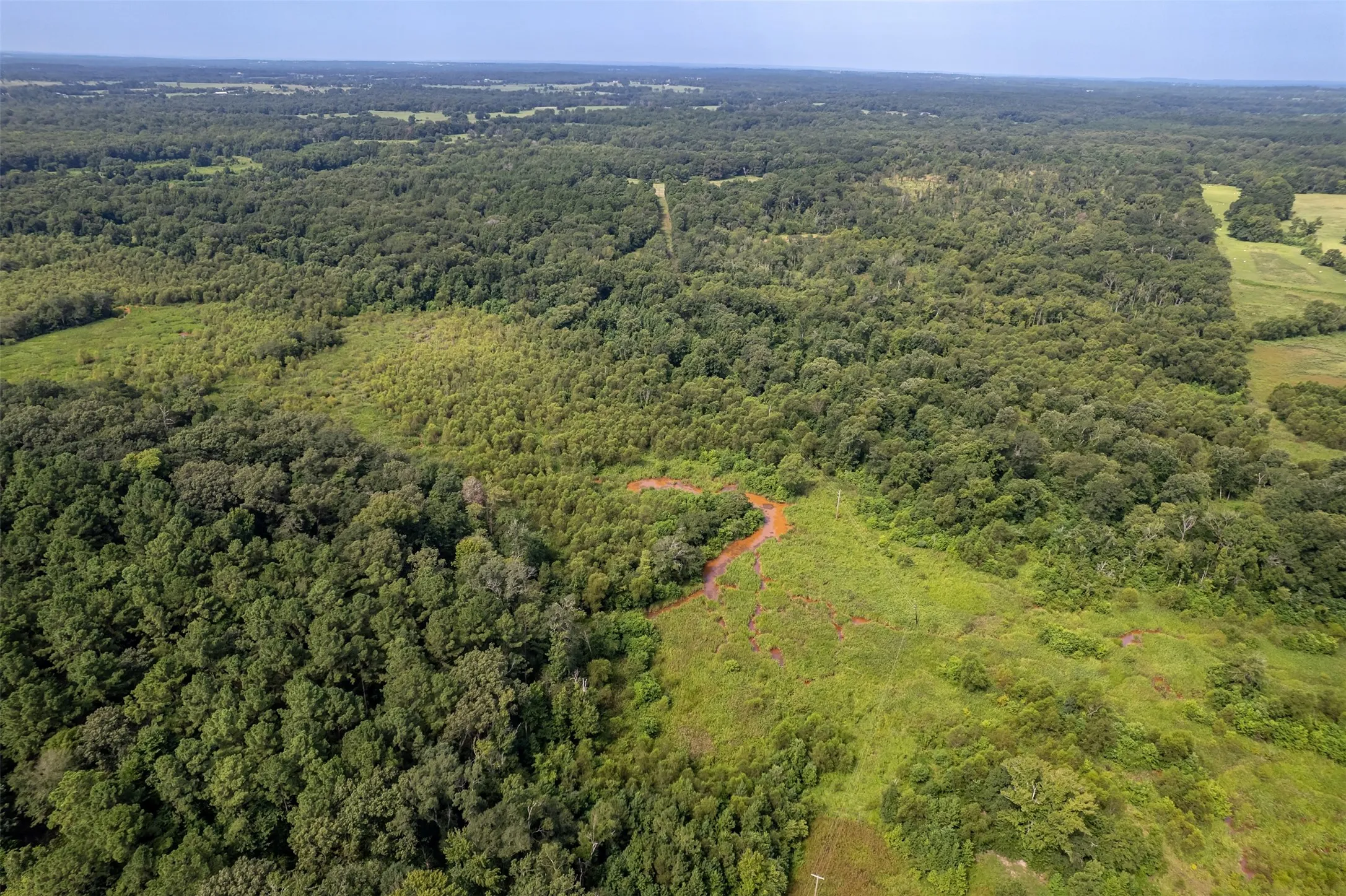 Unimproved Land For Sale in Smith County , TBD County Road 2115, Troup, Texas 75789, 0, 0, Garage spaces, 0 Sqft, built in 0, Price $649,900, mls#21348630, Real Estate Agent in Troup, Homes For Sale in Smith county, Homes For Sale in Troup, Realtor in Troup Texas, Real Estate Brokerage Independent Realty Texas, Luminita Cordes Realtor