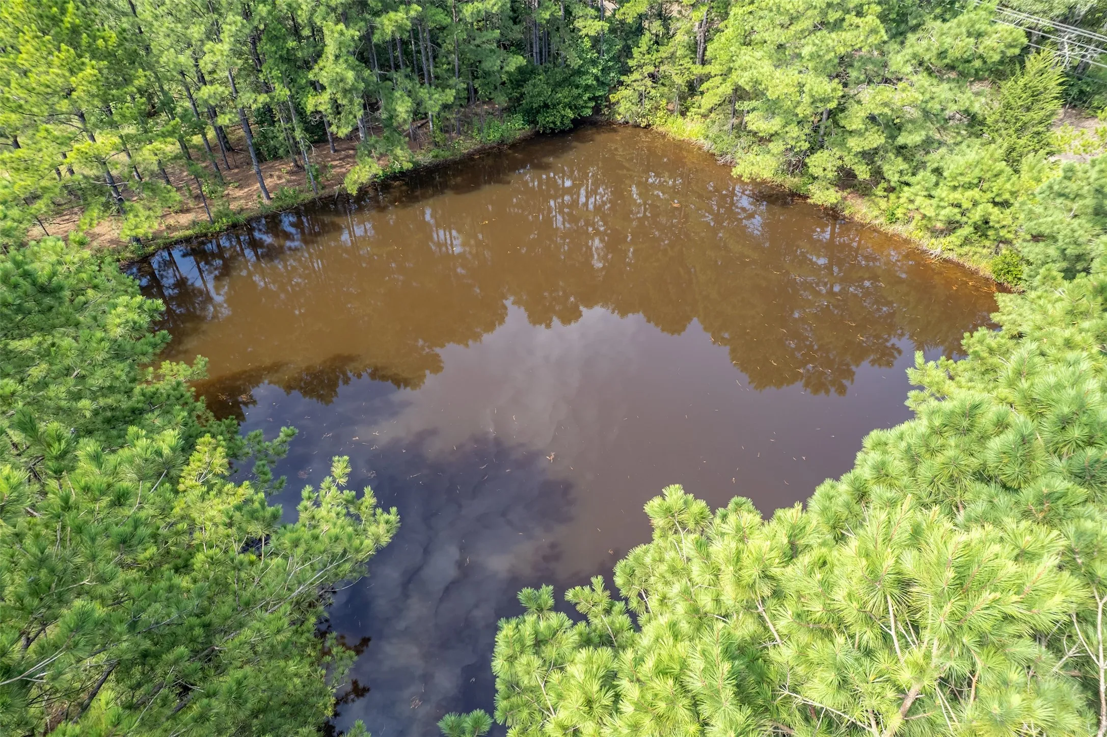 Unimproved Land For Sale in Smith County , TBD County Road 2115, Troup, Texas 75789, 0, 0, Garage spaces, 0 Sqft, built in 0, Price $649,900, mls#21348630, Real Estate Agent in Troup, Homes For Sale in Smith county, Homes For Sale in Troup, Realtor in Troup Texas, Real Estate Brokerage Independent Realty Texas, Luminita Cordes Realtor