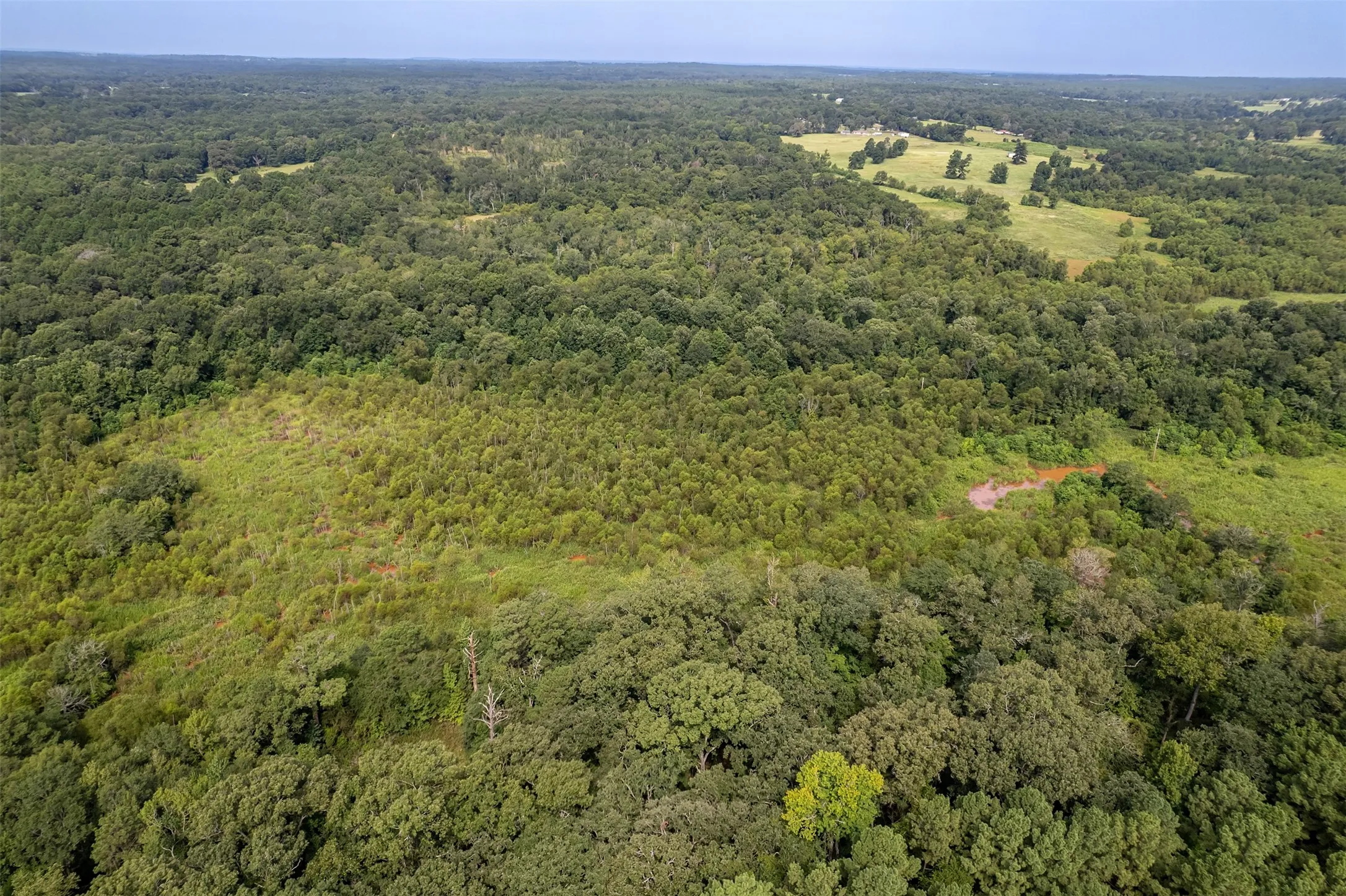 Unimproved Land For Sale in Smith County , TBD County Road 2115, Troup, Texas 75789, 0, 0, Garage spaces, 0 Sqft, built in 0, Price $649,900, mls#21348630, Real Estate Agent in Troup, Homes For Sale in Smith county, Homes For Sale in Troup, Realtor in Troup Texas, Real Estate Brokerage Independent Realty Texas, Luminita Cordes Realtor