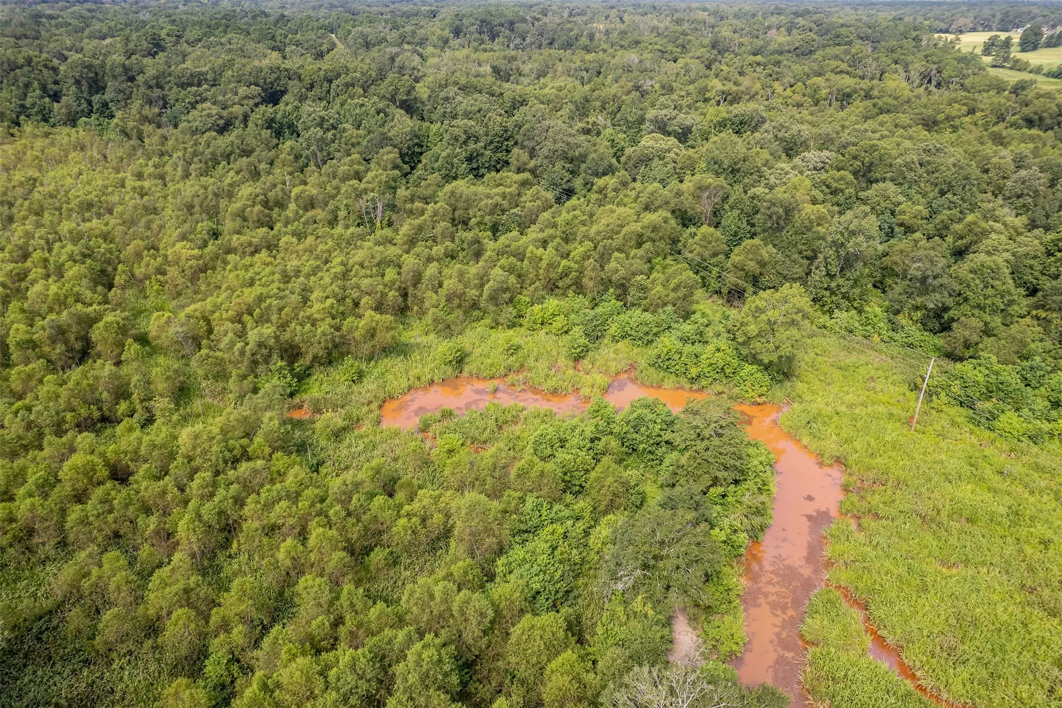 Unimproved Land For Sale in Smith County , TBD County Road 2115, Troup, Texas 75789, 0, 0, Garage spaces, 0 Sqft, built in 0, Price $649,900, mls#21348630, Real Estate Agent in Troup, Homes For Sale in Smith county, Homes For Sale in Troup, Realtor in Troup Texas, Real Estate Brokerage Independent Realty Texas, Luminita Cordes Realtor