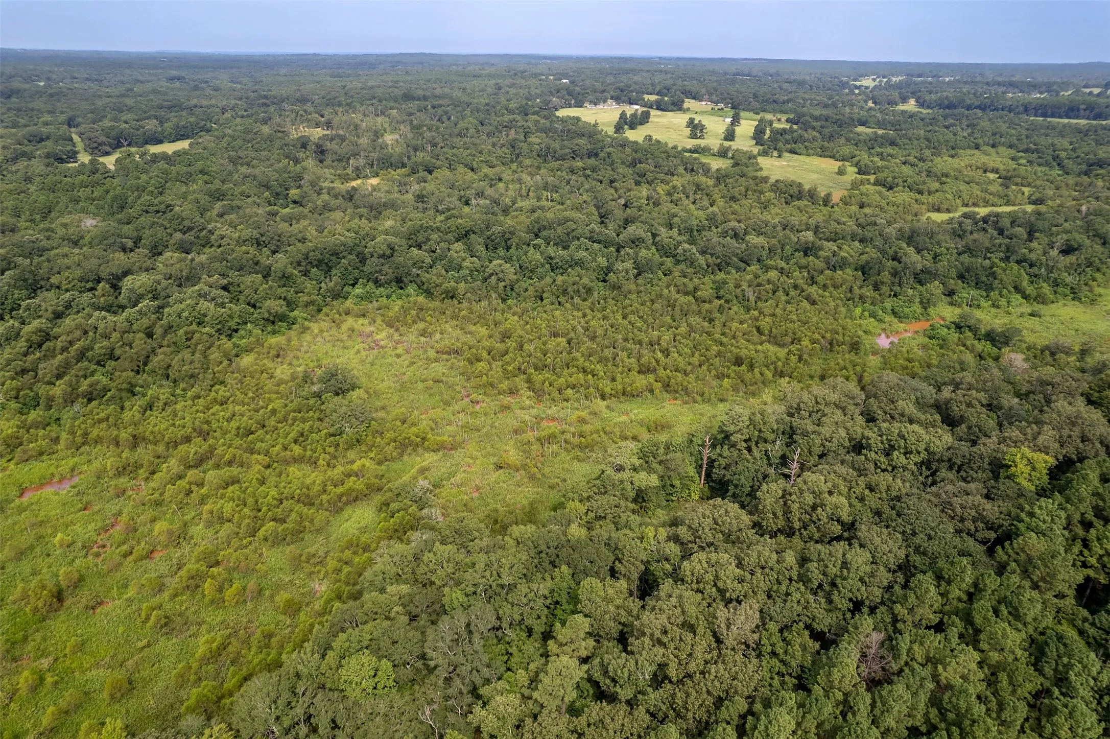 Unimproved Land For Sale in Smith County , TBD County Road 2115, Troup, Texas 75789, 0, 0, Garage spaces, 0 Sqft, built in 0, Price $649,900, mls#21348630, Real Estate Agent in Troup, Homes For Sale in Smith county, Homes For Sale in Troup, Realtor in Troup Texas, Real Estate Brokerage Independent Realty Texas, Luminita Cordes Realtor