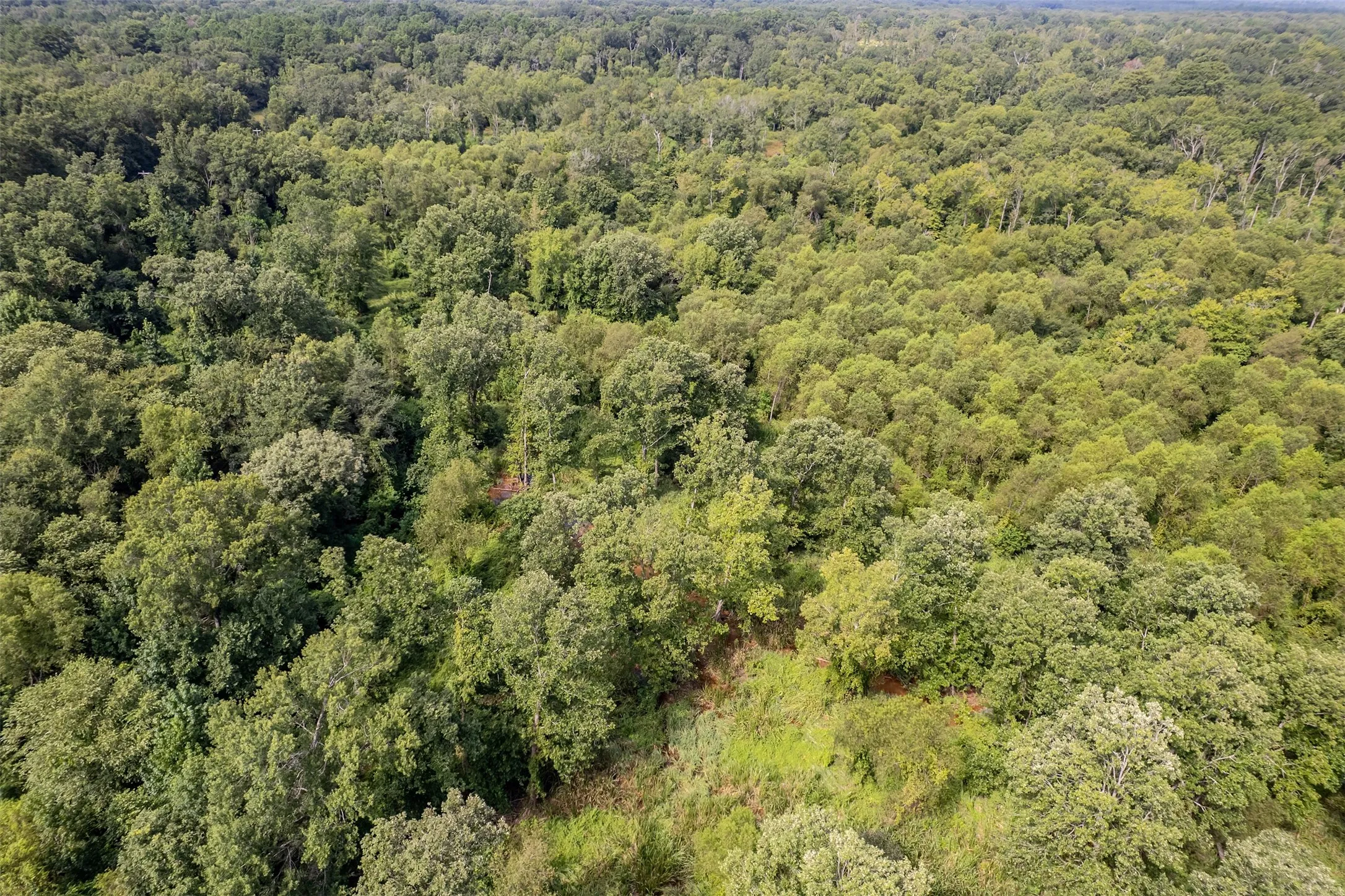 Unimproved Land For Sale in Smith County , TBD County Road 2115, Troup, Texas 75789, 0, 0, Garage spaces, 0 Sqft, built in 0, Price $649,900, mls#21348630, Real Estate Agent in Troup, Homes For Sale in Smith county, Homes For Sale in Troup, Realtor in Troup Texas, Real Estate Brokerage Independent Realty Texas, Luminita Cordes Realtor