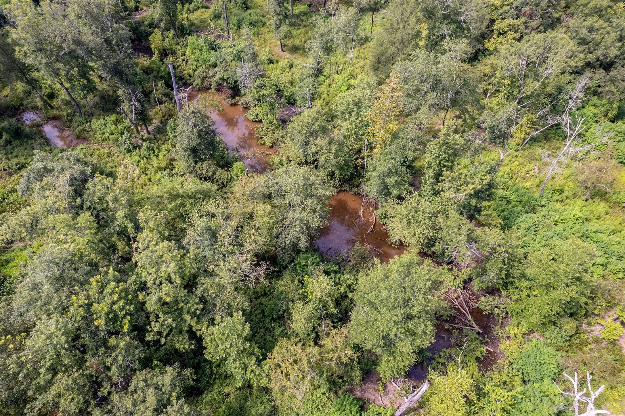 Unimproved Land For Sale in Smith County , TBD County Road 2115, Troup, Texas 75789, 0, 0, Garage spaces, 0 Sqft, built in 0, Price $649,900, mls#21348630, Real Estate Agent in Troup, Homes For Sale in Smith county, Homes For Sale in Troup, Realtor in Troup Texas, Real Estate Brokerage Independent Realty Texas, Luminita Cordes Realtor