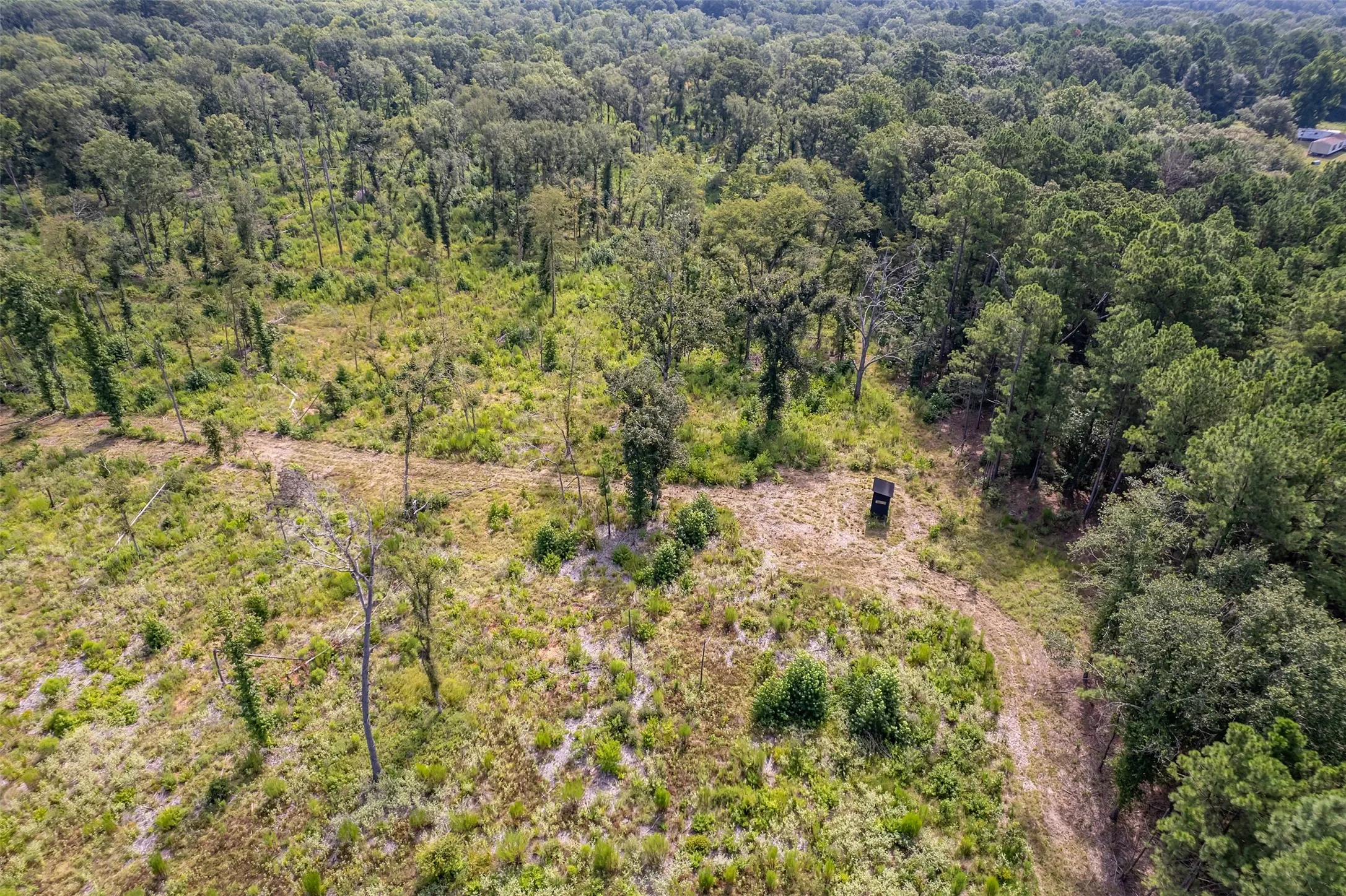 Unimproved Land For Sale in Smith County , TBD County Road 2115, Troup, Texas 75789, 0, 0, Garage spaces, 0 Sqft, built in 0, Price $649,900, mls#21348630, Real Estate Agent in Troup, Homes For Sale in Smith county, Homes For Sale in Troup, Realtor in Troup Texas, Real Estate Brokerage Independent Realty Texas, Luminita Cordes Realtor