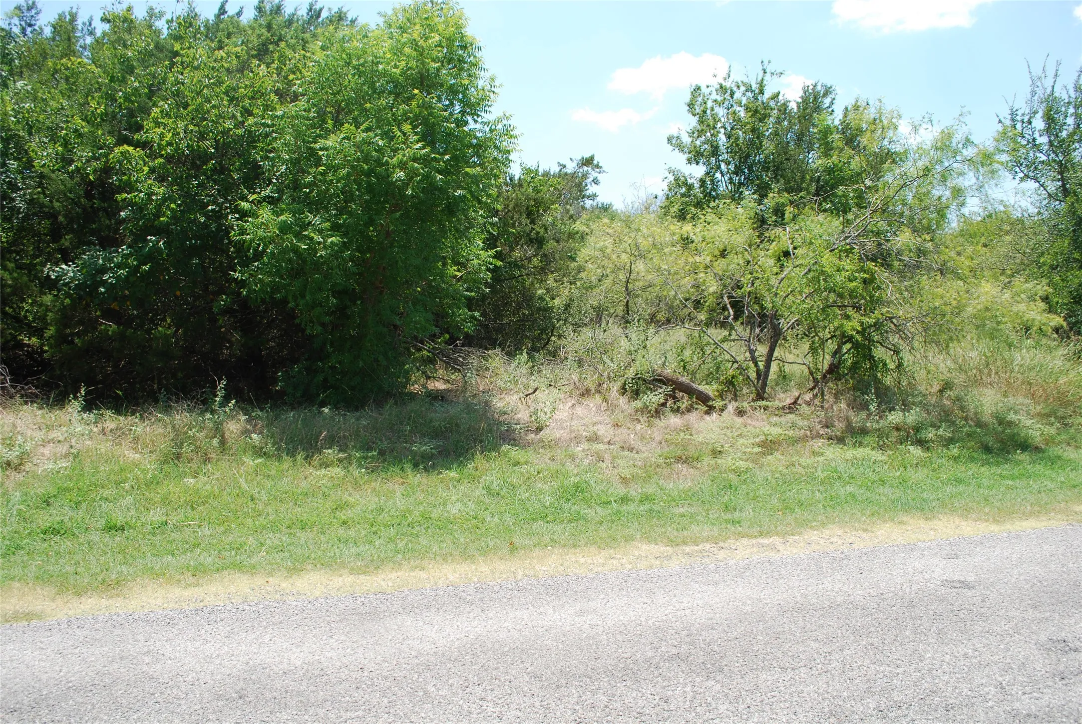 Unimproved Land For Sale in Hill County , 1413 Lakeside Trail, Whitney, Texas 76692, 0, 0, Garage spaces, 0 Sqft, built in 0, mls#21347723, Real Estate Agent in Whitney, Homes For Sale in Hill county, Homes For Sale in Whitney, Realtor in Whitney Texas, Real Estate Brokerage Independent Realty Texas, Luminita Cordes Realtor