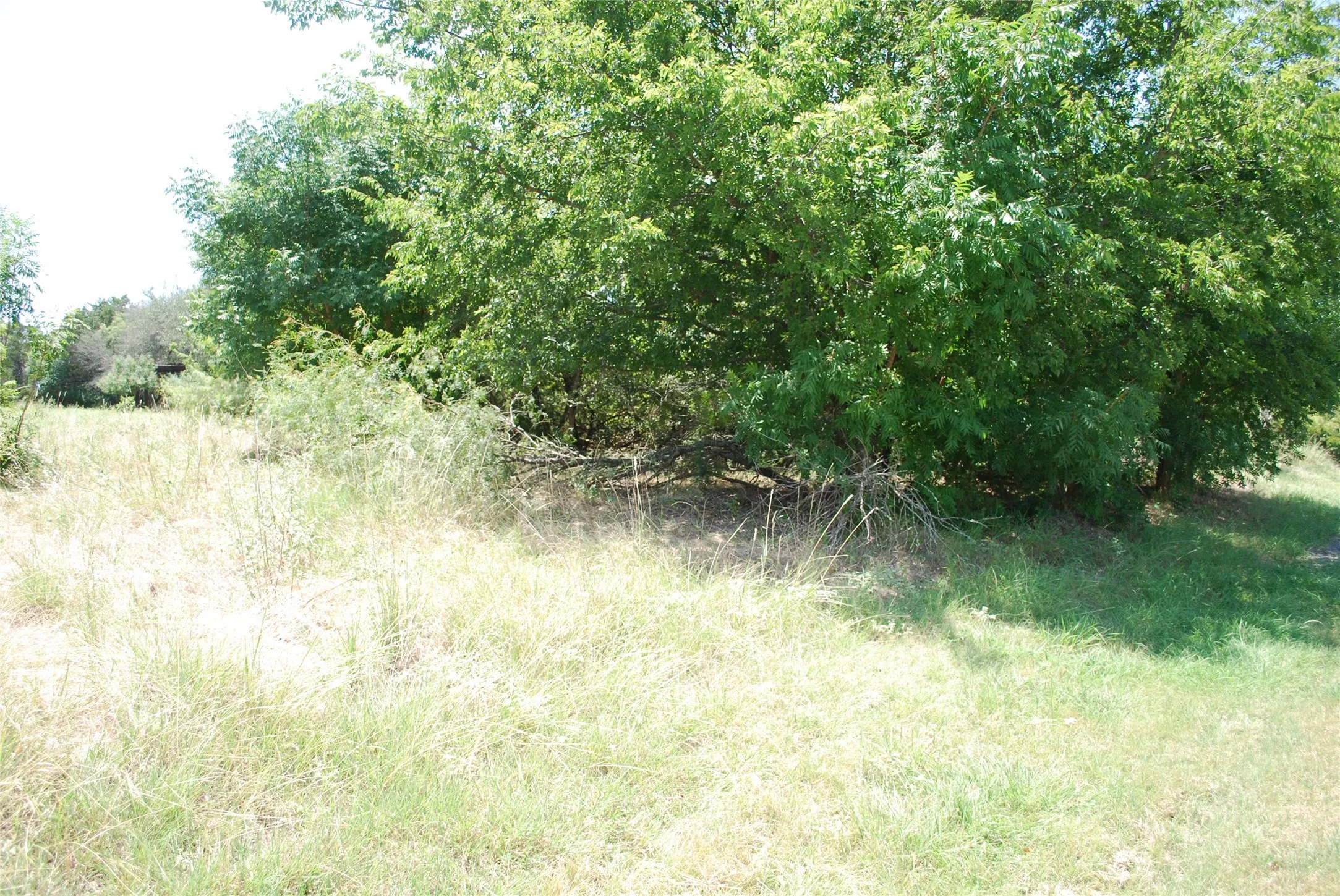 Unimproved Land For Sale in Hill County , 1413 Lakeside Trail, Whitney, Texas 76692, 0, 0, Garage spaces, 0 Sqft, built in 0, mls#21347723, Real Estate Agent in Whitney, Homes For Sale in Hill county, Homes For Sale in Whitney, Realtor in Whitney Texas, Real Estate Brokerage Independent Realty Texas, Luminita Cordes Realtor