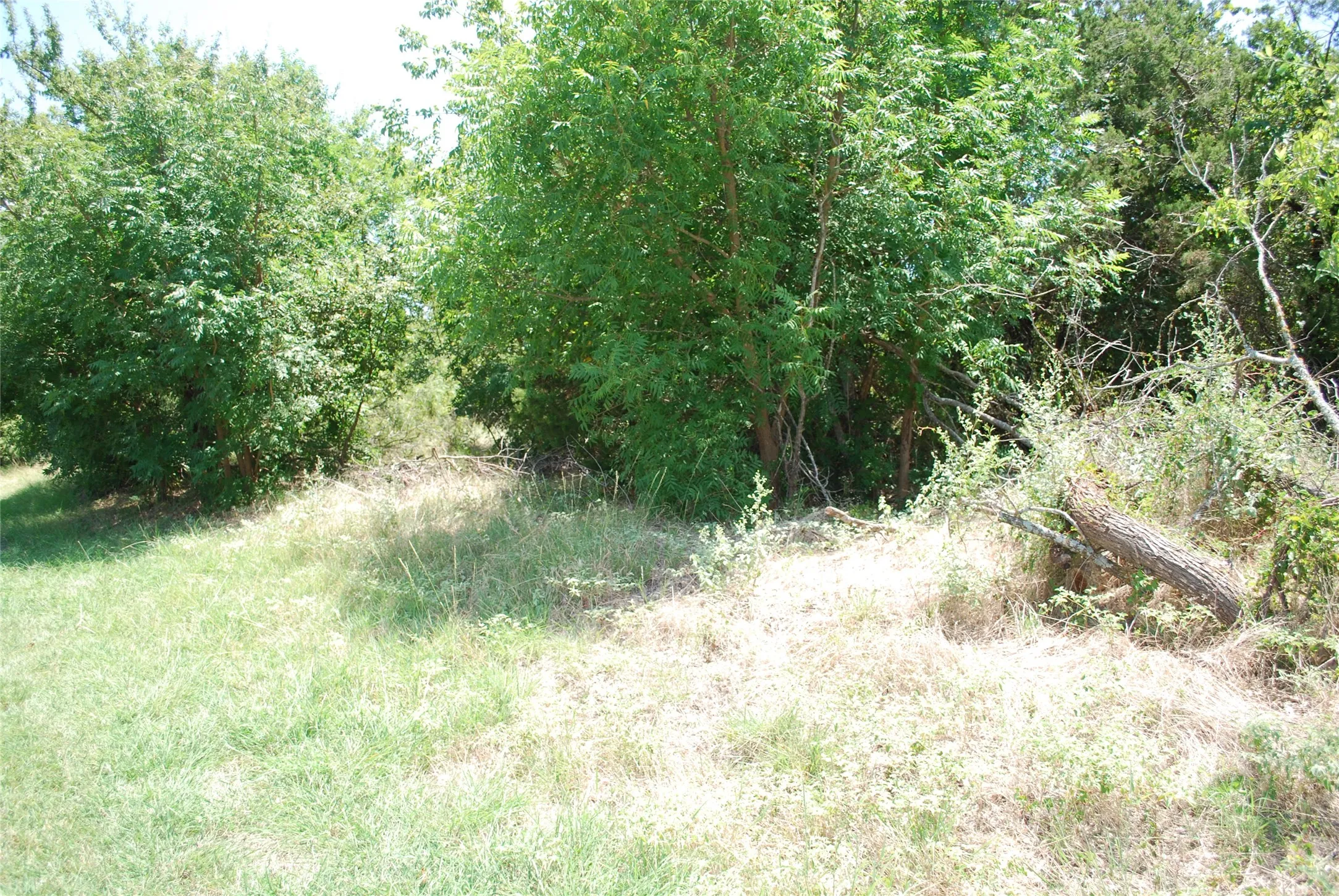 Unimproved Land For Sale in Hill County , 1413 Lakeside Trail, Whitney, Texas 76692, 0, 0, Garage spaces, 0 Sqft, built in 0, mls#21347723, Real Estate Agent in Whitney, Homes For Sale in Hill county, Homes For Sale in Whitney, Realtor in Whitney Texas, Real Estate Brokerage Independent Realty Texas, Luminita Cordes Realtor