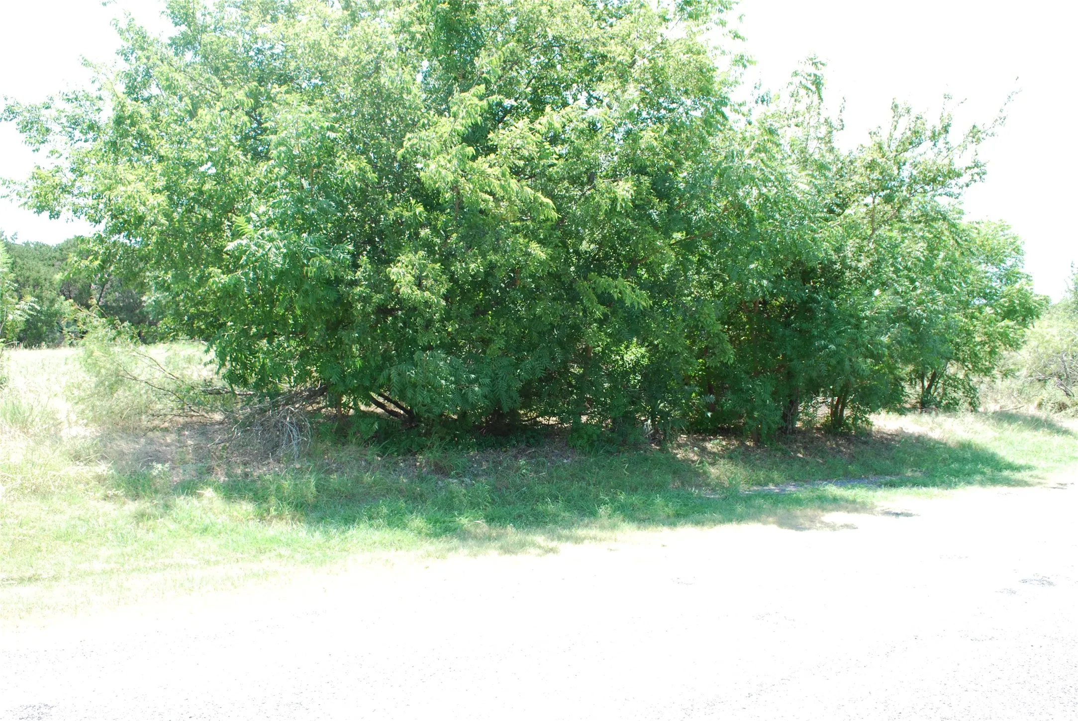 Unimproved Land For Sale in Hill County , 1413 Lakeside Trail, Whitney, Texas 76692, 0, 0, Garage spaces, 0 Sqft, built in 0, mls#21347723, Real Estate Agent in Whitney, Homes For Sale in Hill county, Homes For Sale in Whitney, Realtor in Whitney Texas, Real Estate Brokerage Independent Realty Texas, Luminita Cordes Realtor