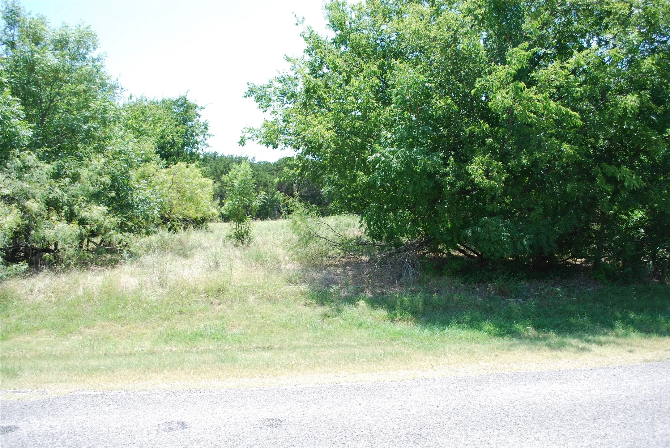 Unimproved Land For Sale in Hill County , 1413 Lakeside Trail, Whitney, Texas 76692, 0, 0, Garage spaces, 0 Sqft, built in 0, mls#21347723, Real Estate Agent in Whitney, Homes For Sale in Hill county, Homes For Sale in Whitney, Realtor in Whitney Texas, Real Estate Brokerage Independent Realty Texas, Luminita Cordes Realtor
