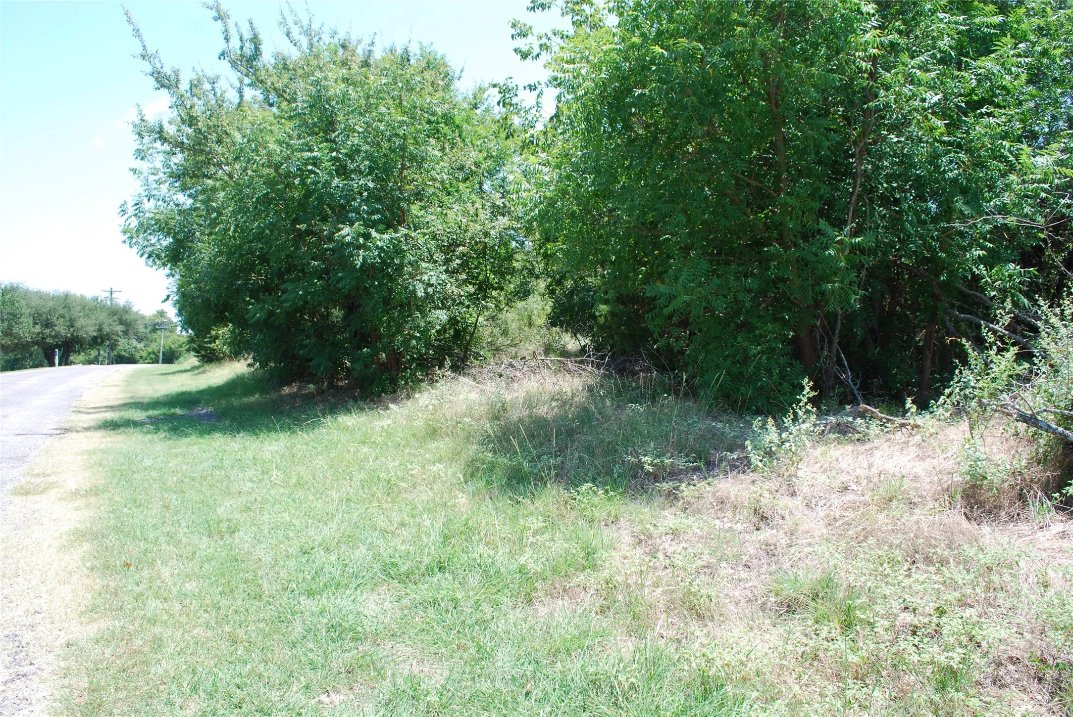 Unimproved Land For Sale in Hill County , 1413 Lakeside Trail, Whitney, Texas 76692, 0, 0, Garage spaces, 0 Sqft, built in 0, mls#21347723, Real Estate Agent in Whitney, Homes For Sale in Hill county, Homes For Sale in Whitney, Realtor in Whitney Texas, Real Estate Brokerage Independent Realty Texas, Luminita Cordes Realtor