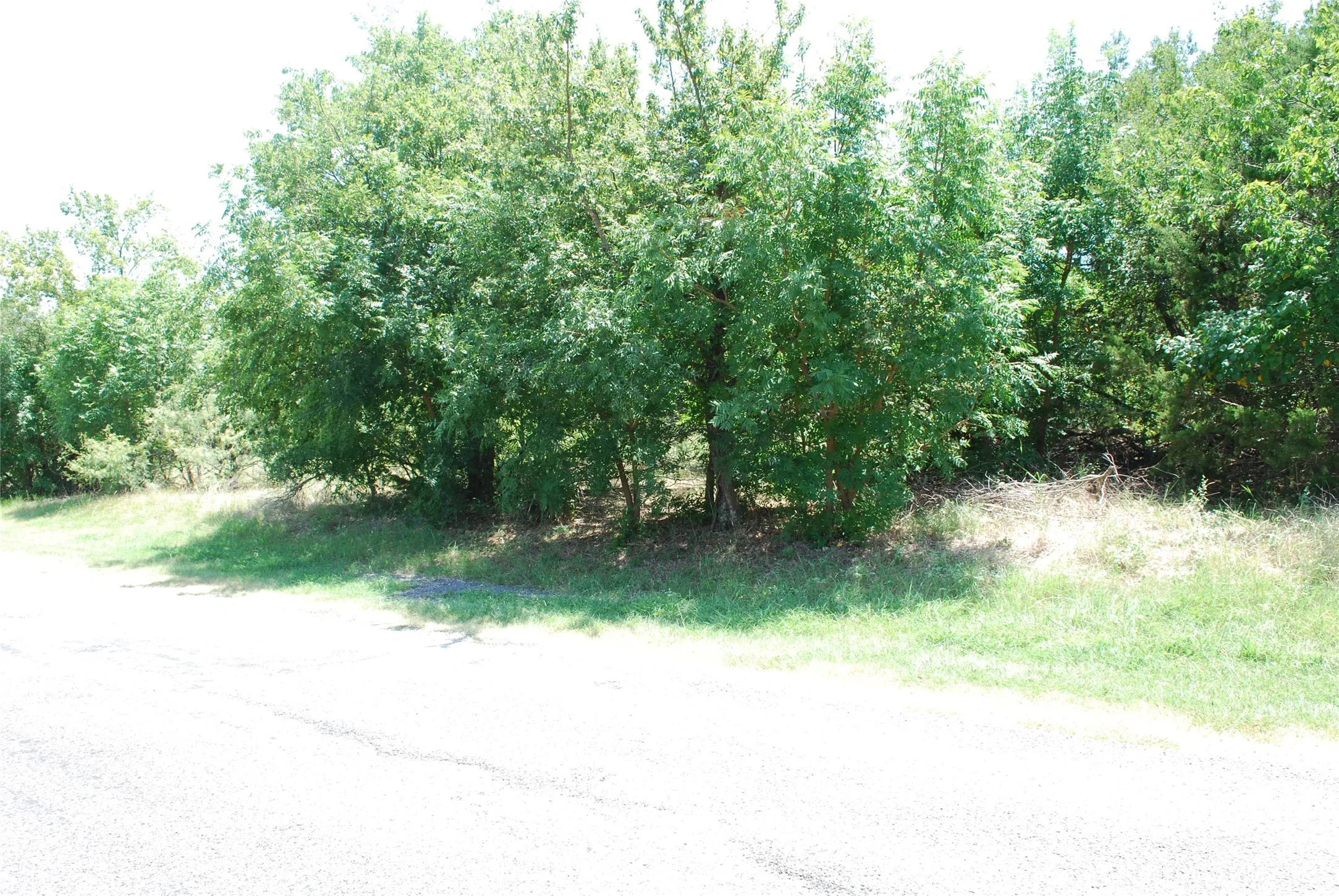 Unimproved Land For Sale in Hill County , 1413 Lakeside Trail, Whitney, Texas 76692, 0, 0, Garage spaces, 0 Sqft, built in 0, mls#21347723, Real Estate Agent in Whitney, Homes For Sale in Hill county, Homes For Sale in Whitney, Realtor in Whitney Texas, Real Estate Brokerage Independent Realty Texas, Luminita Cordes Realtor