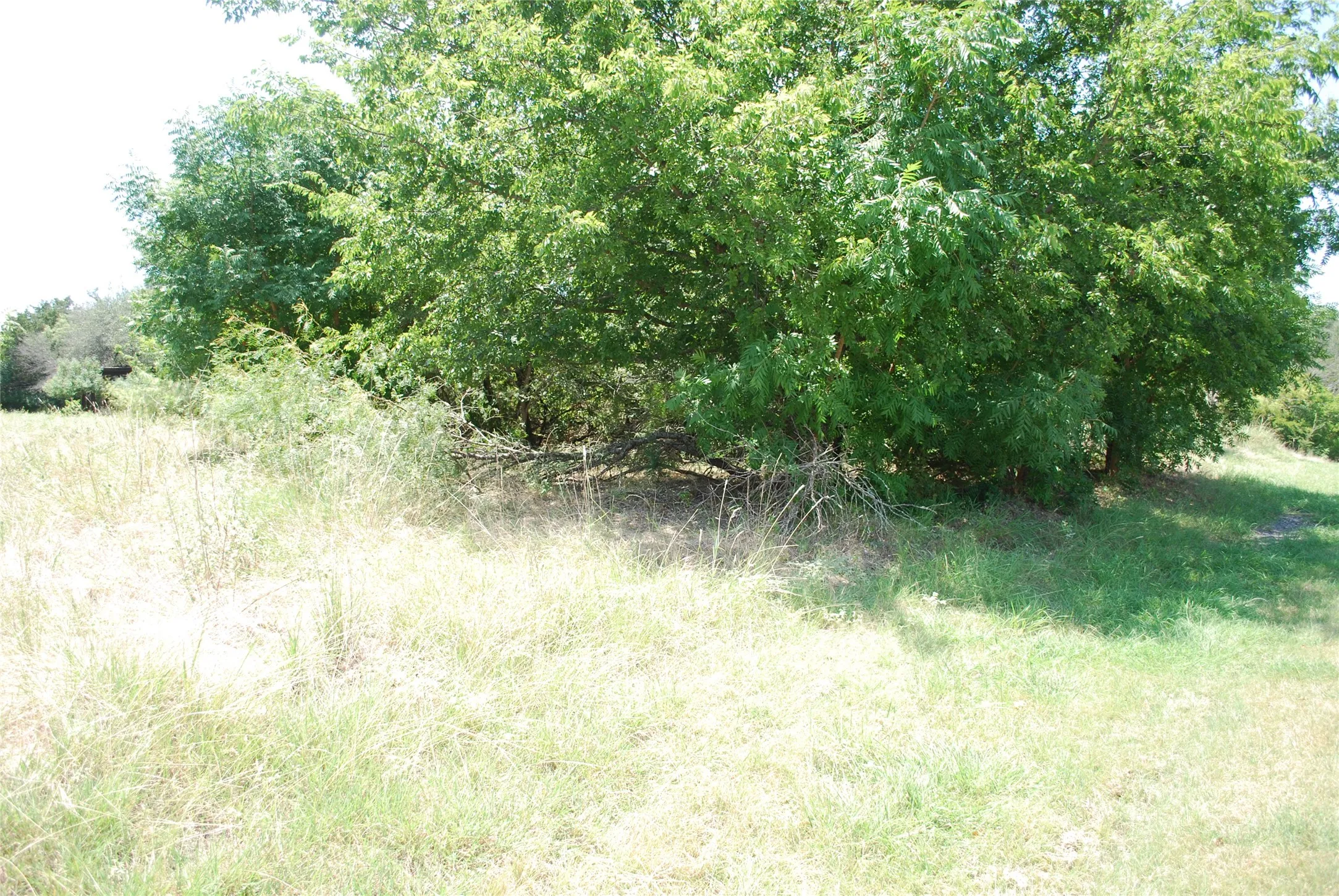 Unimproved Land For Sale in Hill County , 1413 Lakeside Trail, Whitney, Texas 76692, 0, 0, Garage spaces, 0 Sqft, built in 0, mls#21347723, Real Estate Agent in Whitney, Homes For Sale in Hill county, Homes For Sale in Whitney, Realtor in Whitney Texas, Real Estate Brokerage Independent Realty Texas, Luminita Cordes Realtor