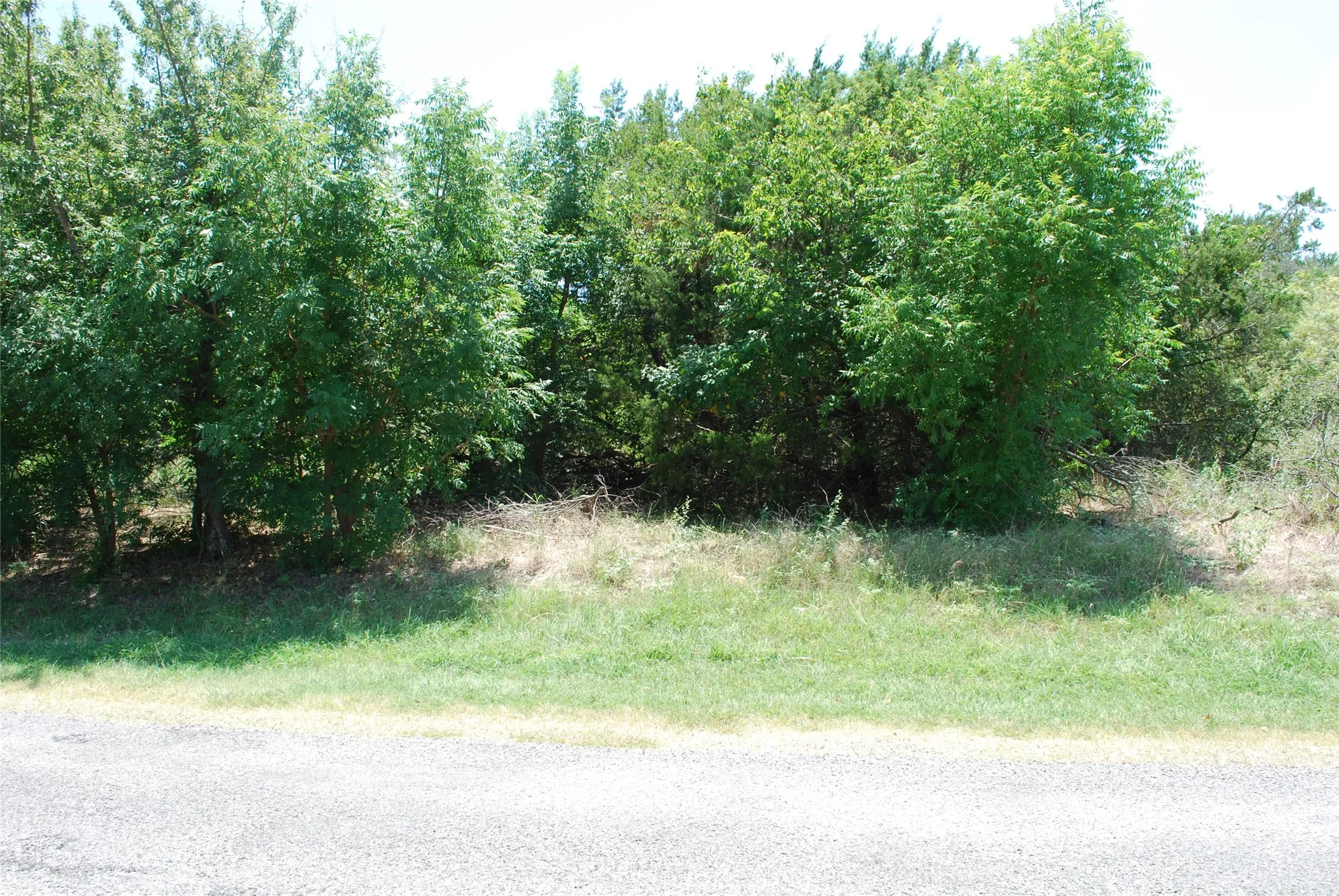 Unimproved Land For Sale in Hill County , 1413 Lakeside Trail, Whitney, Texas 76692, 0, 0, Garage spaces, 0 Sqft, built in 0, mls#21347723, Real Estate Agent in Whitney, Homes For Sale in Hill county, Homes For Sale in Whitney, Realtor in Whitney Texas, Real Estate Brokerage Independent Realty Texas, Luminita Cordes Realtor