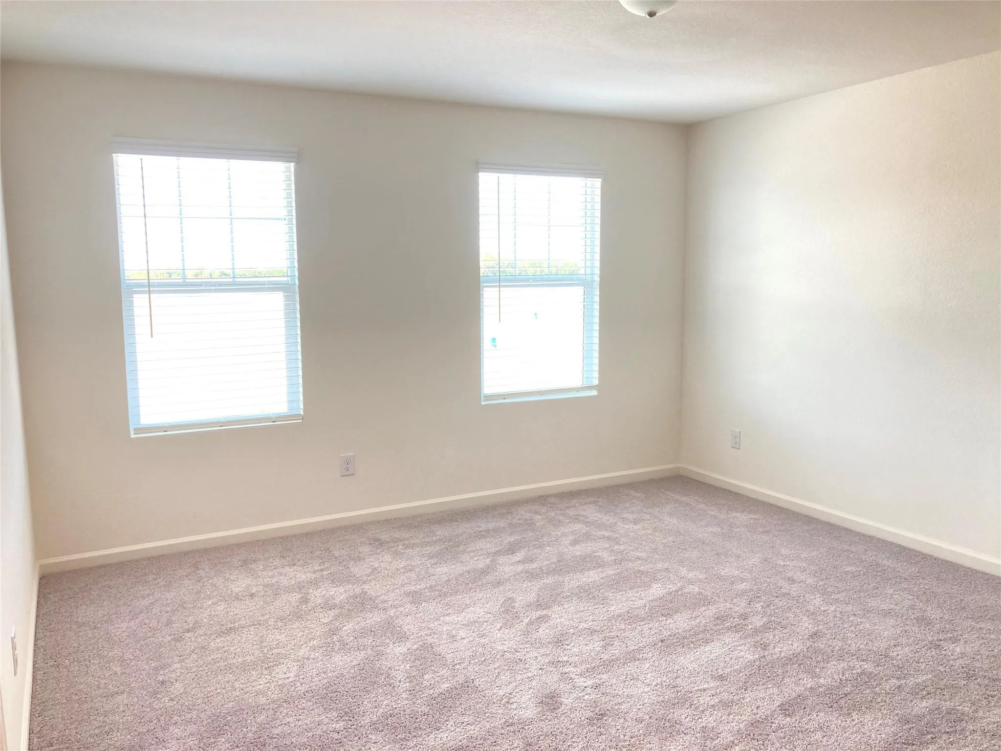 Spacious room featuring neutral carpeting, light-colored walls, two windows with horizontal blinds, and a ceiling-mounted light fixture