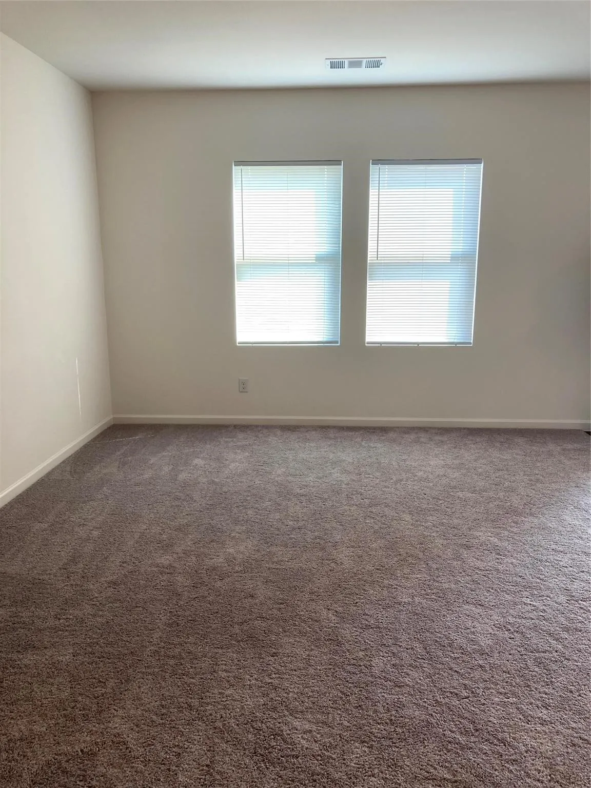 Spacious interior room featuring plush carpeting, dual windows with blinds, and light-toned walls