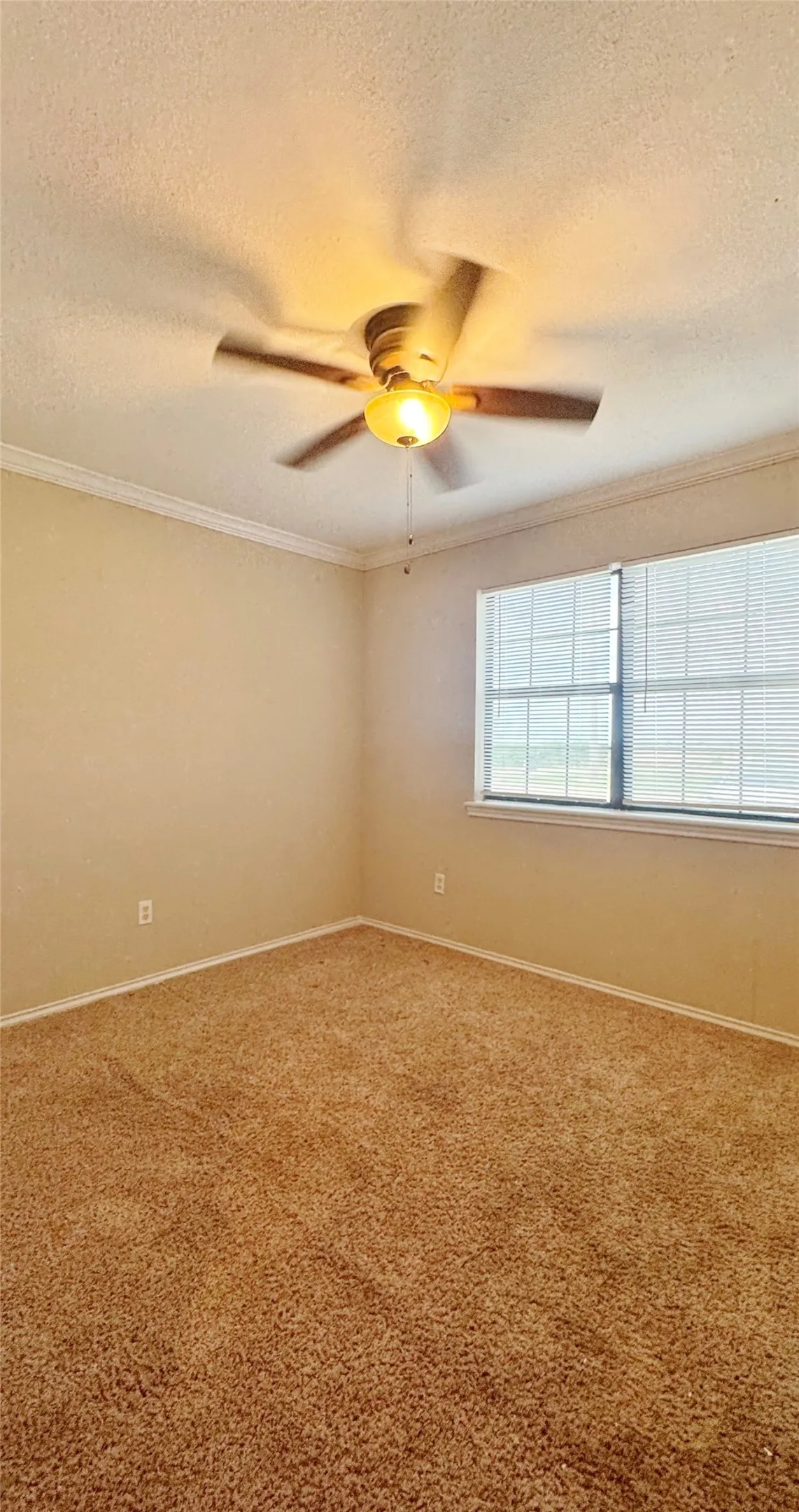 Single Family Residence For Rent in Henderson County , 304 Boot Ranch Road, Trinidad, Texas 75163, 3 Bedroom, 2 Bathroom, Garage spaces, 1,292 Sqft, built in 1994, mls#21348658, Real Estate Agent in Trinidad, Homes For Rent in Henderson county, Homes For Rent in Trinidad, Realtor in Trinidad Texas, Real Estate Brokerage Independent Realty Texas, Luminita Cordes Realtor