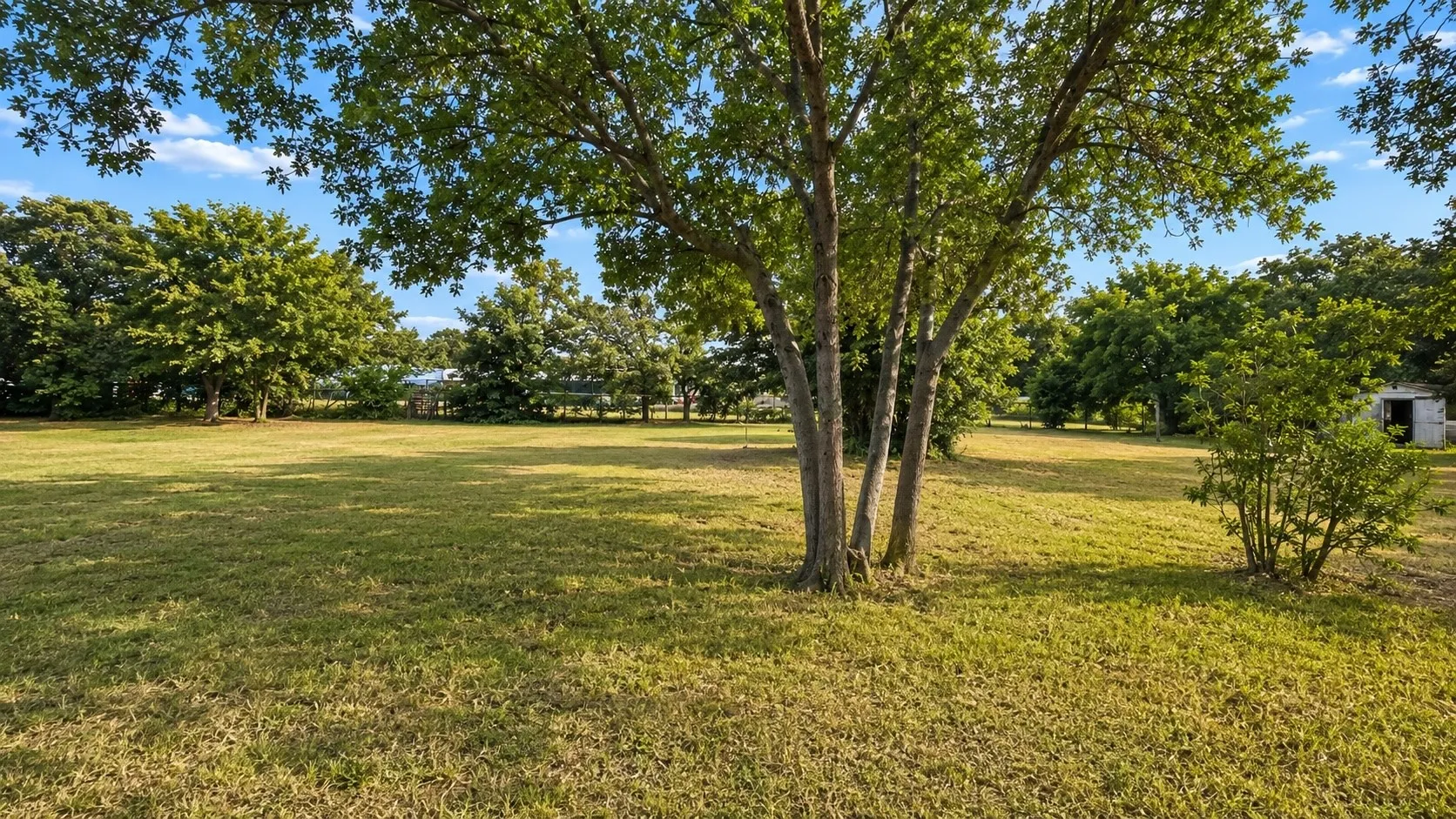 Expansive grassy backyard with mature trees and a small accessory building