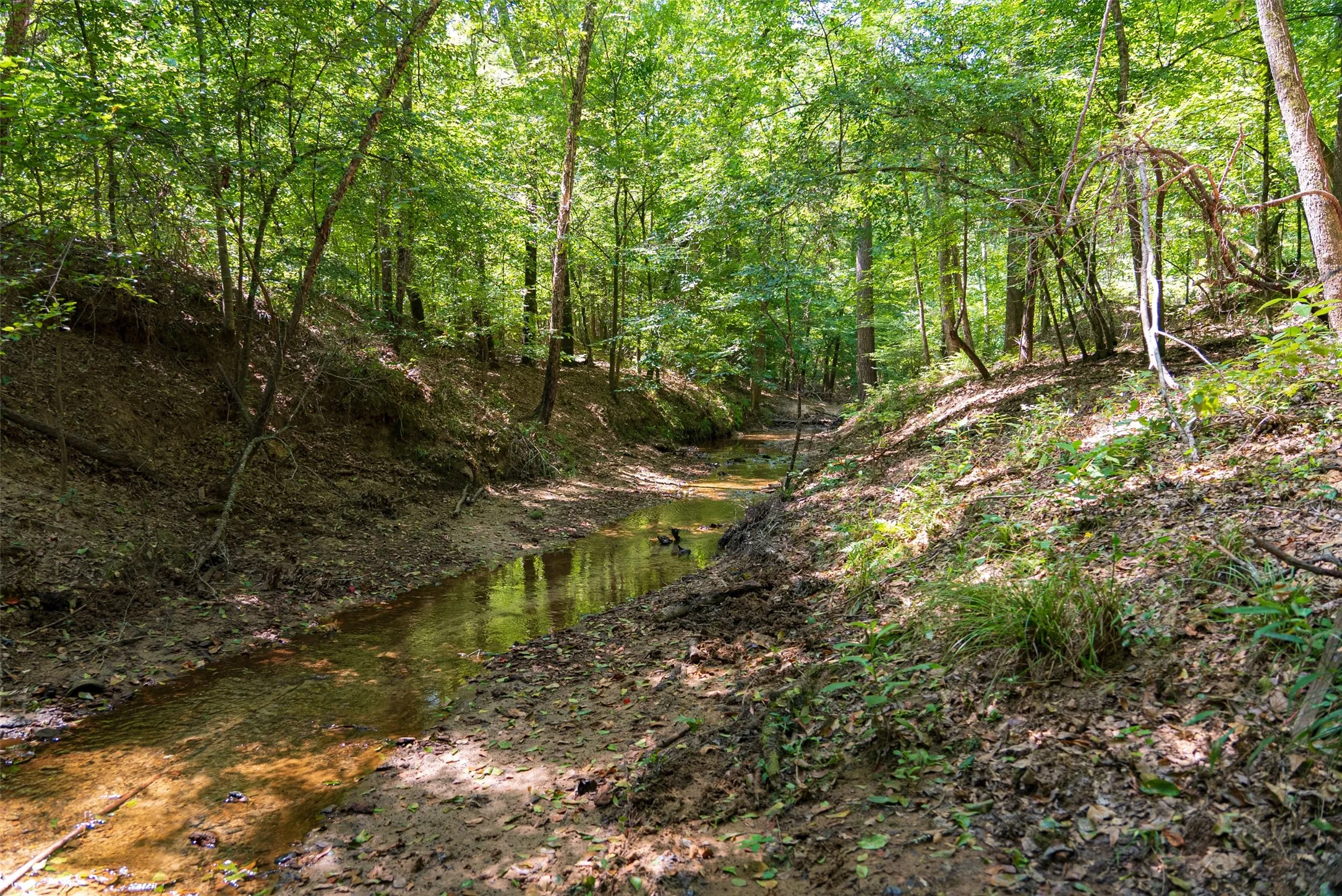 Unimproved Land For Sale in Gregg County , 00 Tom Eubanks Rd, Gladewater, Texas 75662, 0, 0, Garage spaces, 0 Sqft, built in 0, Price $150,000, mls#21348698, Real Estate Agent in Gladewater, Homes For Sale in Gregg county, Homes For Sale in Gladewater, Realtor in Gladewater Texas, Real Estate Brokerage Independent Realty Texas, Luminita Cordes Realtor