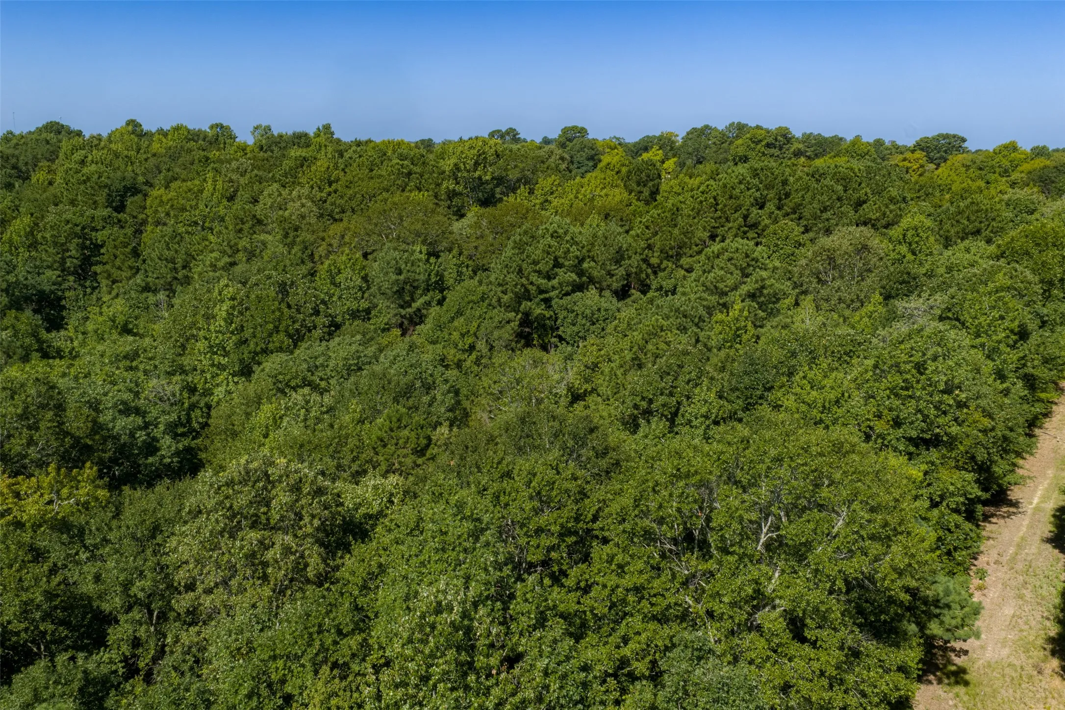 Unimproved Land For Sale in Gregg County , 00 Tom Eubanks Rd, Gladewater, Texas 75662, 0, 0, Garage spaces, 0 Sqft, built in 0, Price $150,000, mls#21348698, Real Estate Agent in Gladewater, Homes For Sale in Gregg county, Homes For Sale in Gladewater, Realtor in Gladewater Texas, Real Estate Brokerage Independent Realty Texas, Luminita Cordes Realtor