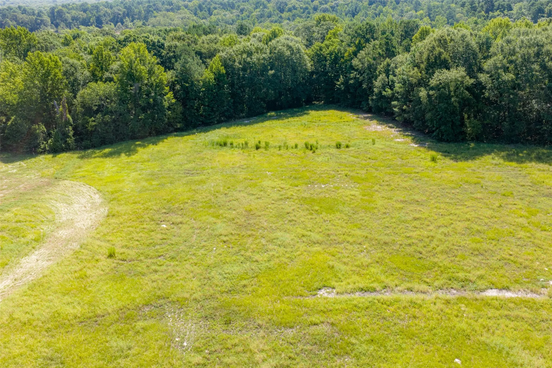 Unimproved Land For Sale in Gregg County , 00 Tom Eubanks Rd, Gladewater, Texas 75662, 0, 0, Garage spaces, 0 Sqft, built in 0, Price $150,000, mls#21348698, Real Estate Agent in Gladewater, Homes For Sale in Gregg county, Homes For Sale in Gladewater, Realtor in Gladewater Texas, Real Estate Brokerage Independent Realty Texas, Luminita Cordes Realtor