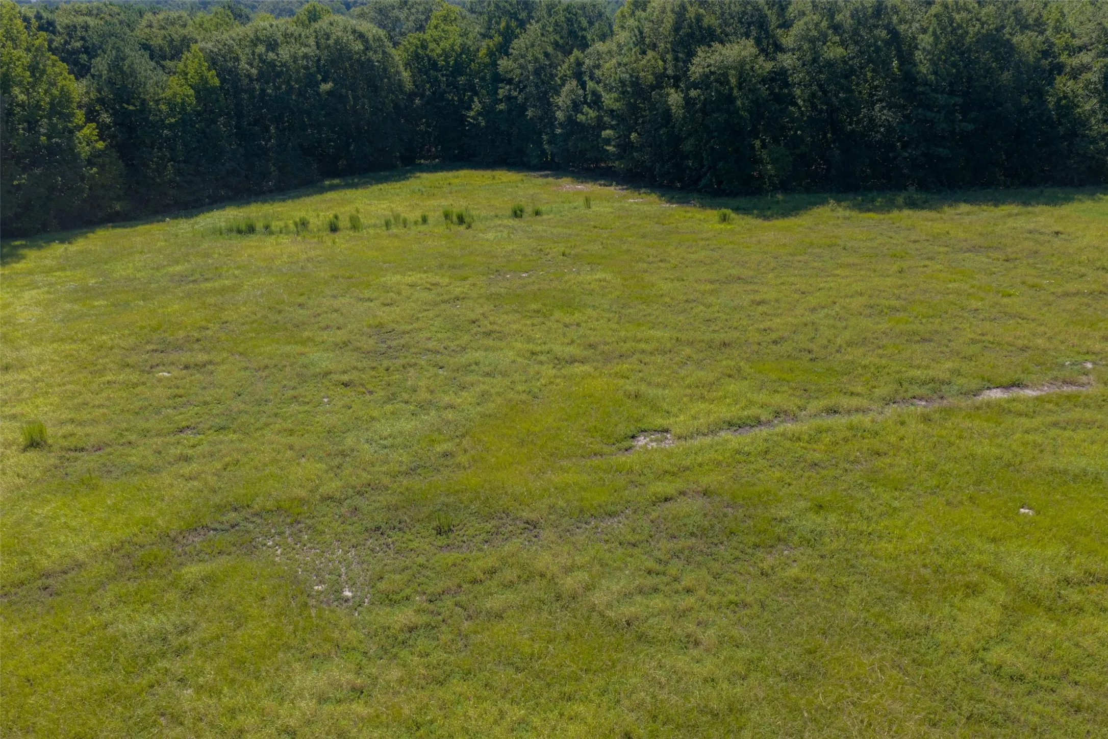 Unimproved Land For Sale in Gregg County , 00 Tom Eubanks Rd, Gladewater, Texas 75662, 0, 0, Garage spaces, 0 Sqft, built in 0, Price $150,000, mls#21348698, Real Estate Agent in Gladewater, Homes For Sale in Gregg county, Homes For Sale in Gladewater, Realtor in Gladewater Texas, Real Estate Brokerage Independent Realty Texas, Luminita Cordes Realtor