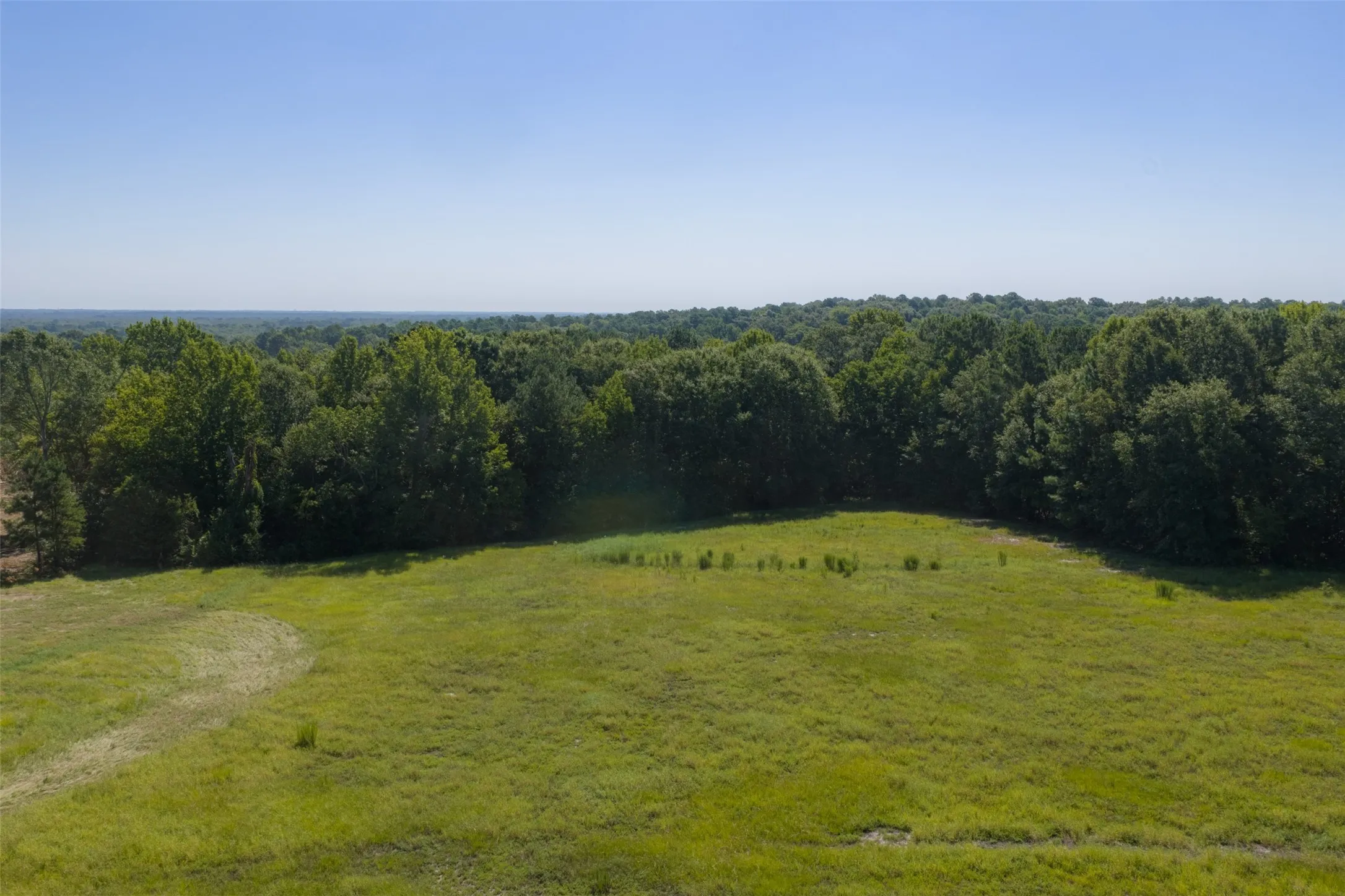 Unimproved Land For Sale in Gregg County , 00 Tom Eubanks Rd, Gladewater, Texas 75662, 0, 0, Garage spaces, 0 Sqft, built in 0, Price $150,000, mls#21348698, Real Estate Agent in Gladewater, Homes For Sale in Gregg county, Homes For Sale in Gladewater, Realtor in Gladewater Texas, Real Estate Brokerage Independent Realty Texas, Luminita Cordes Realtor